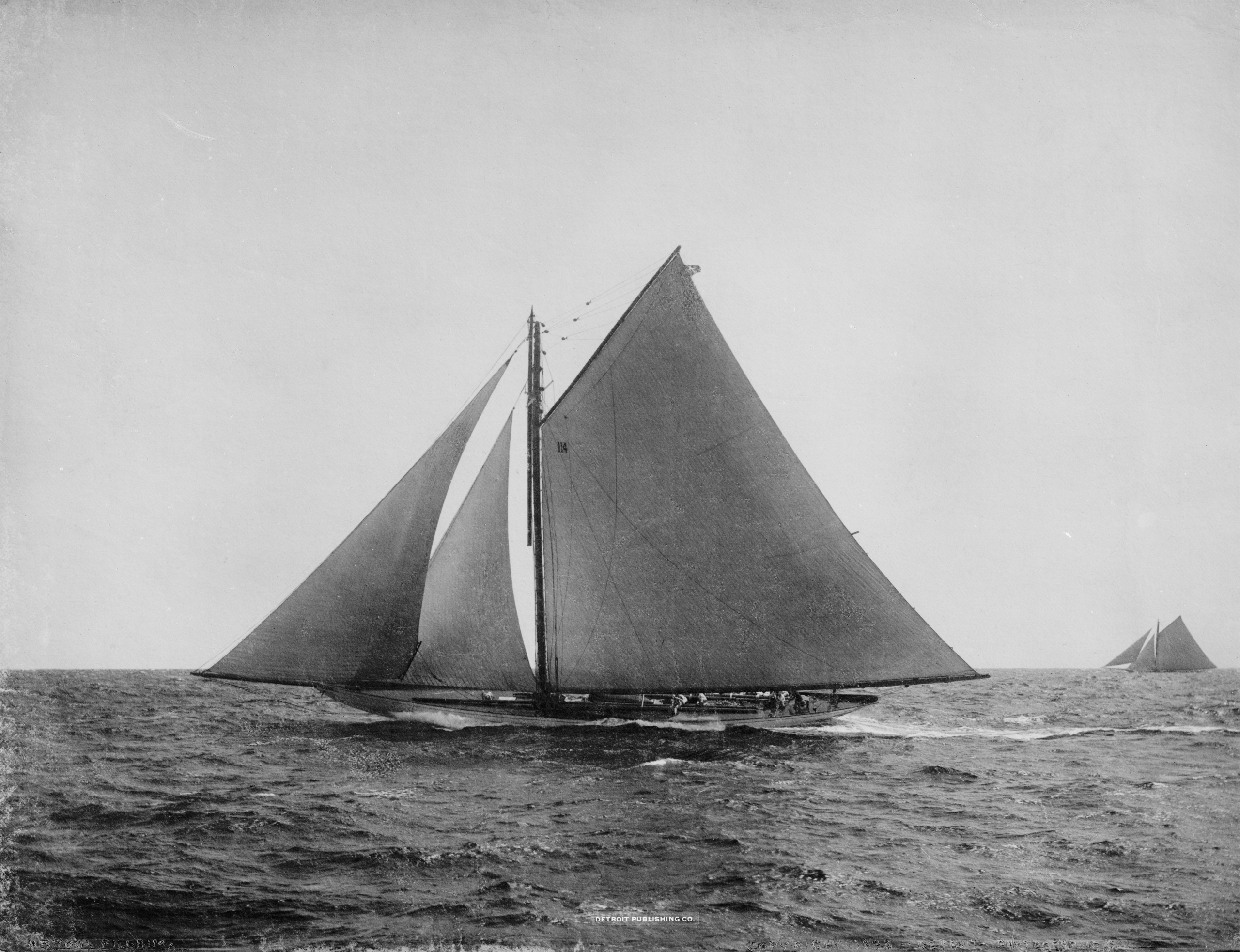 Sloop Pilgrim-3