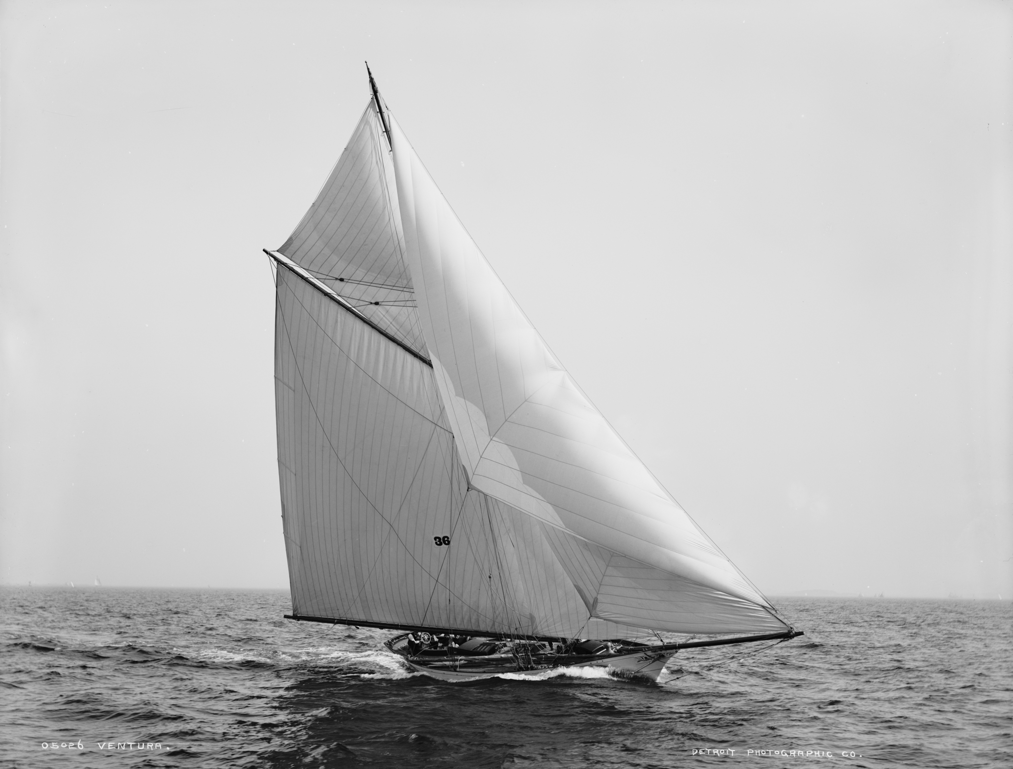 Sloop Ventura-1