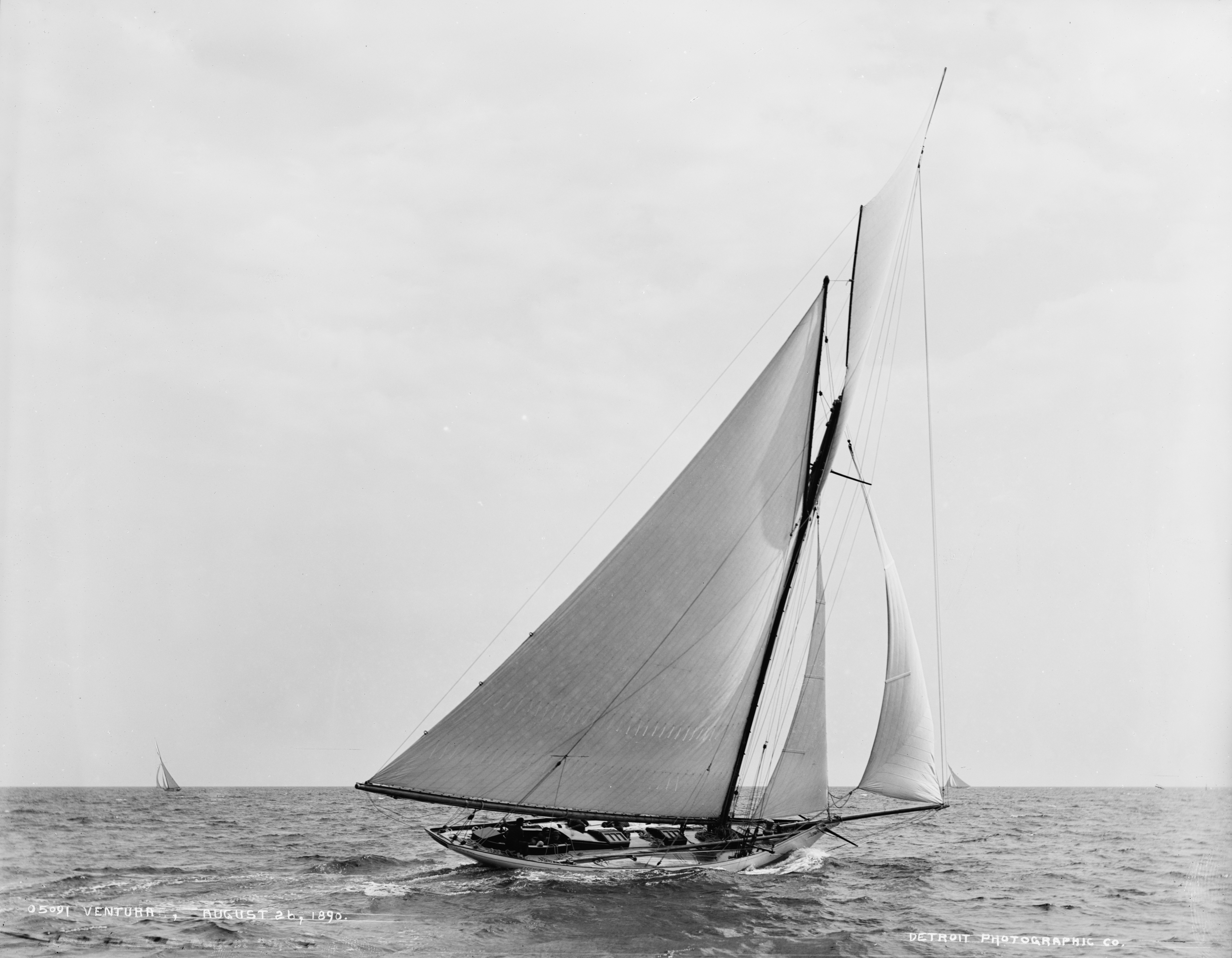 Sloop Ventura-3