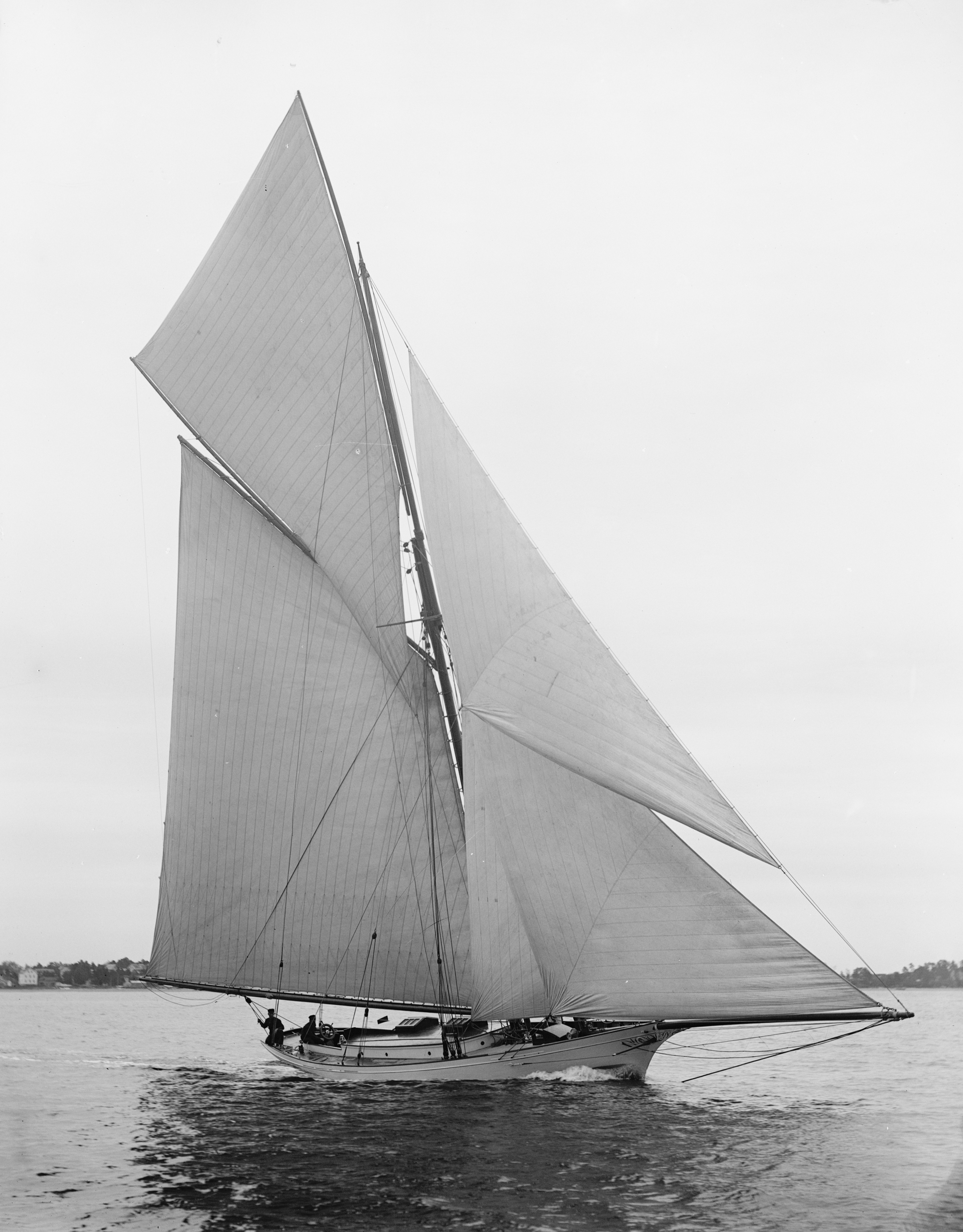Sloop Verena-3
