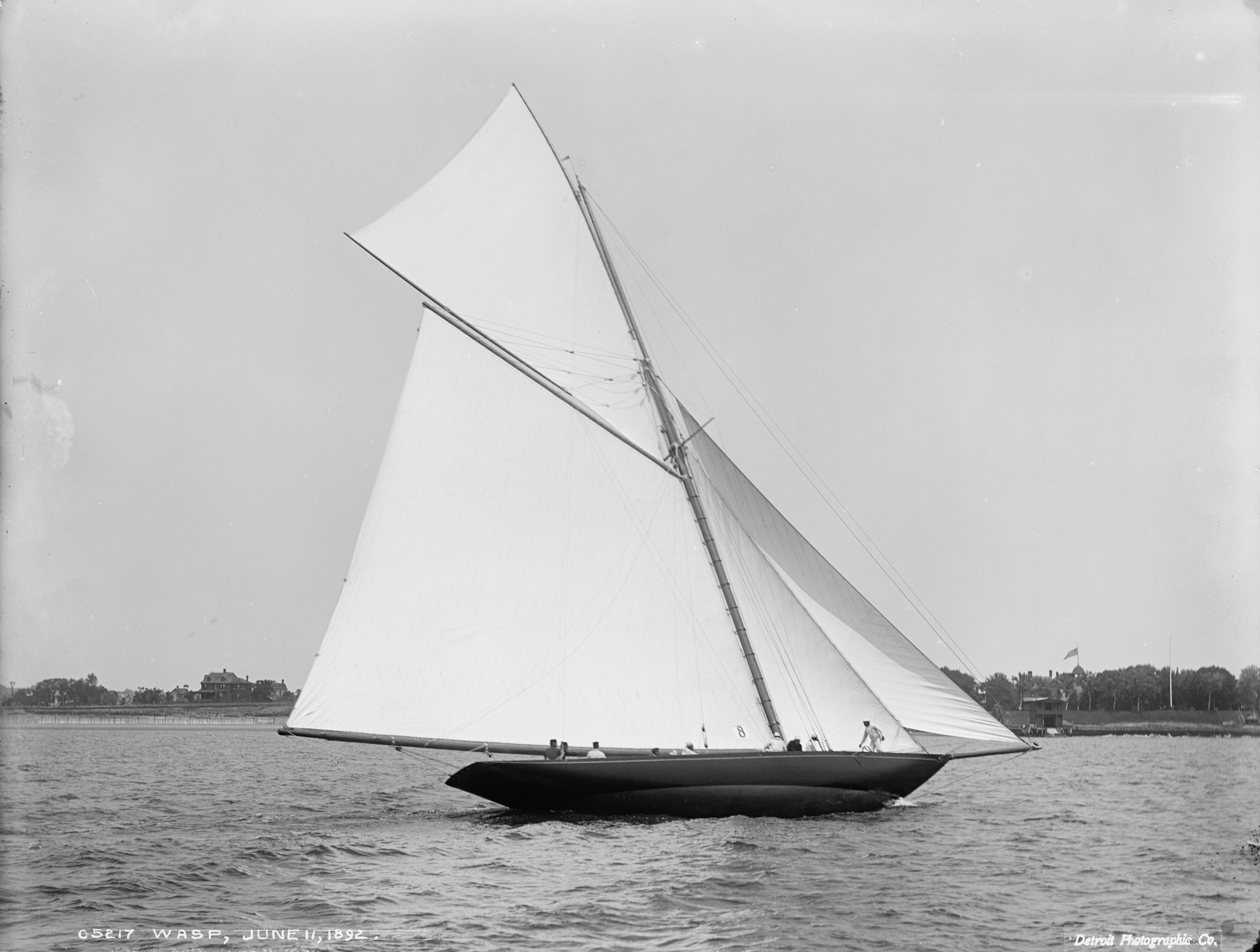 Sloop Wasp-1