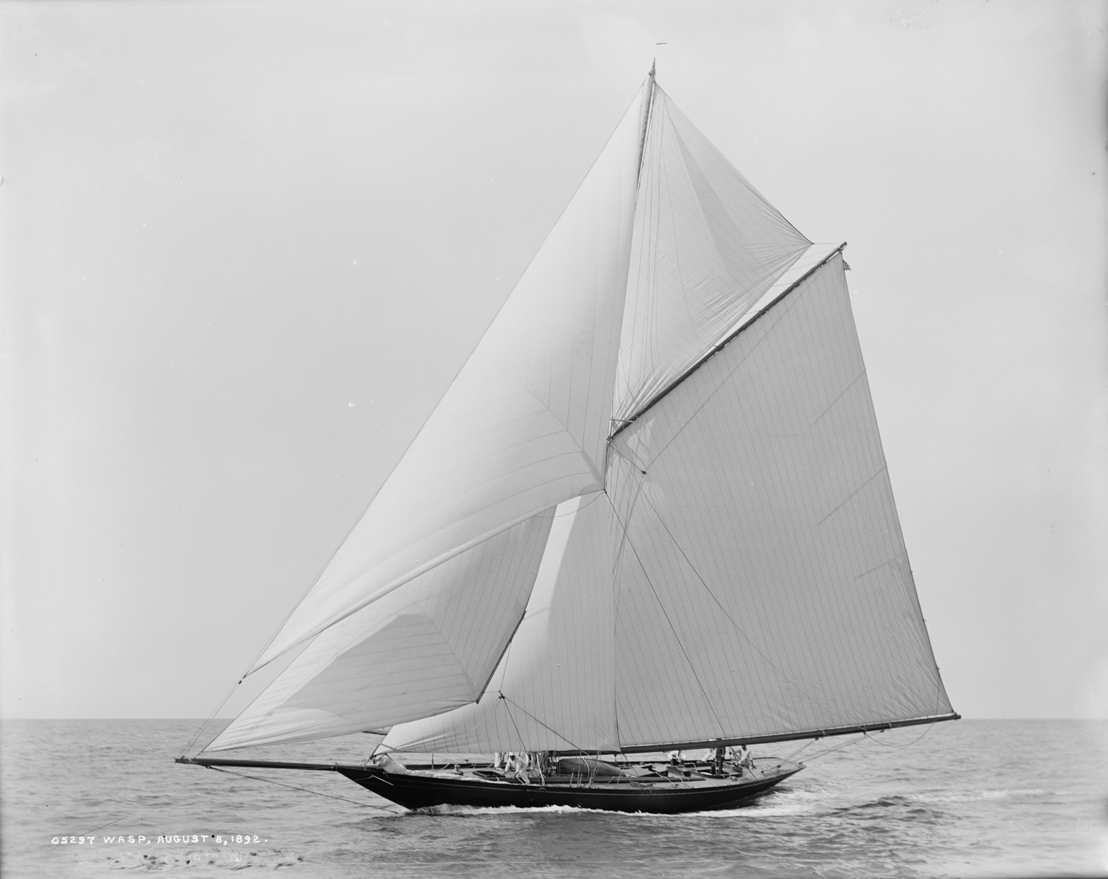Sloop Wasp-6