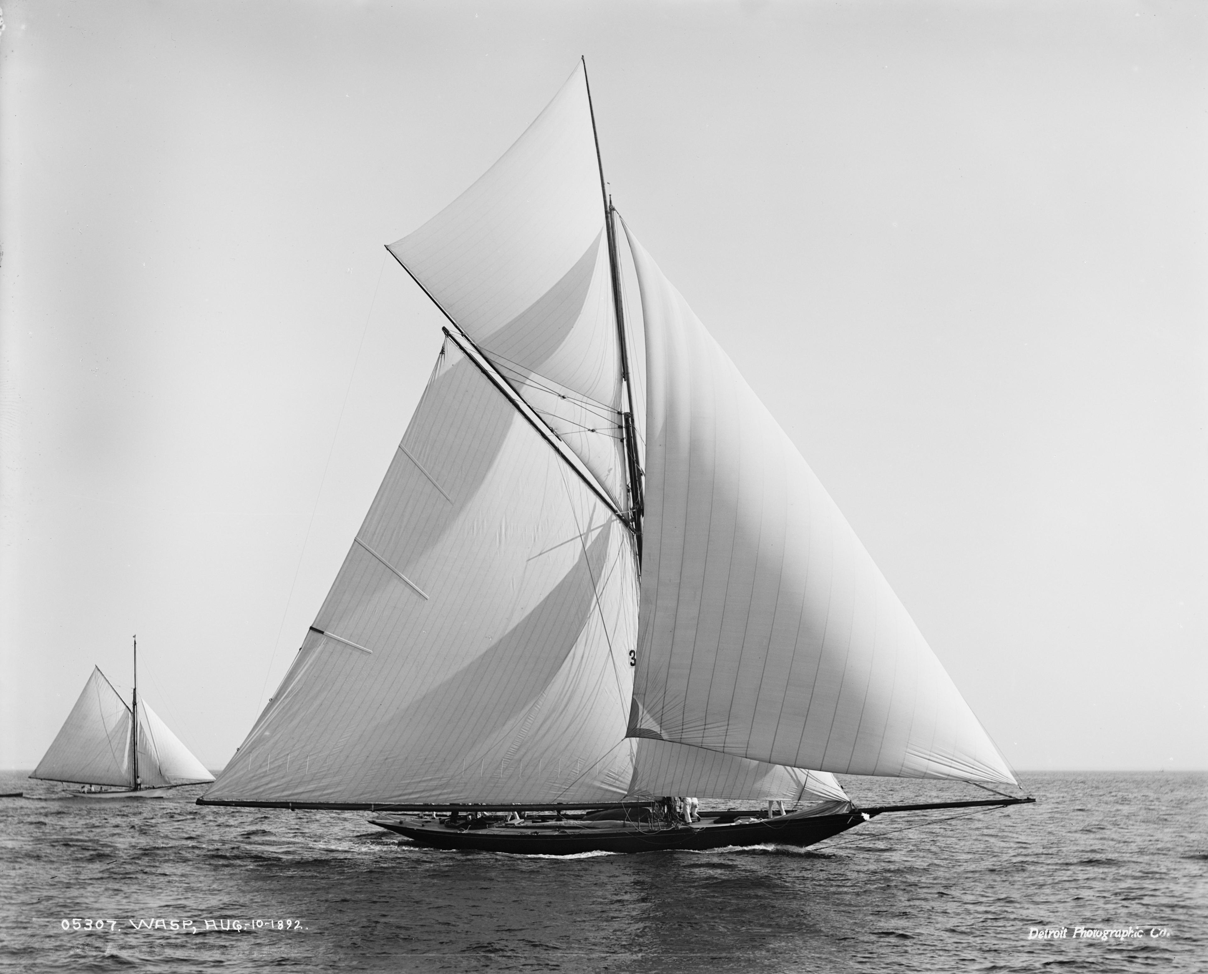 Sloop Wasp-7