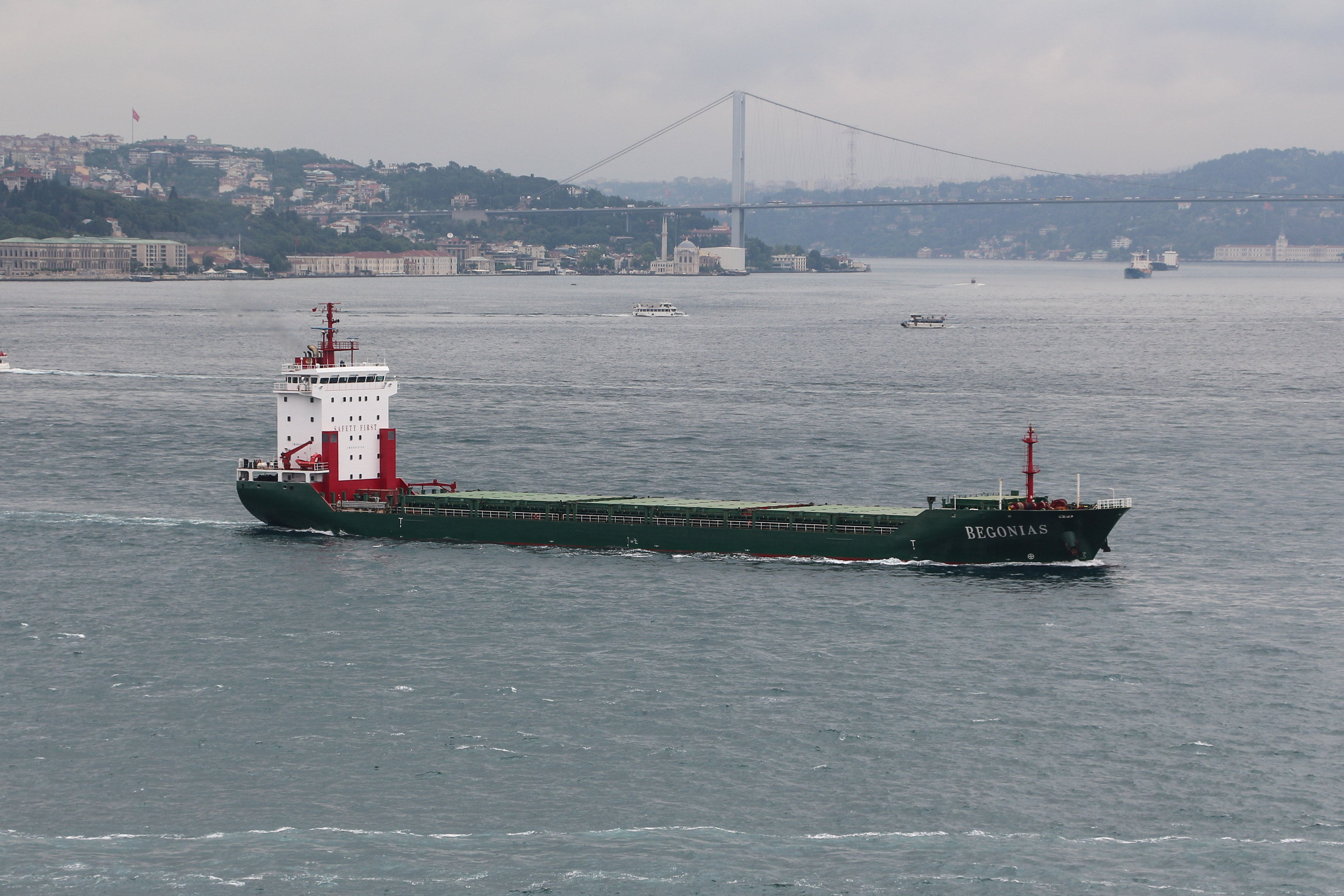 The Begonias on the Bosphorus