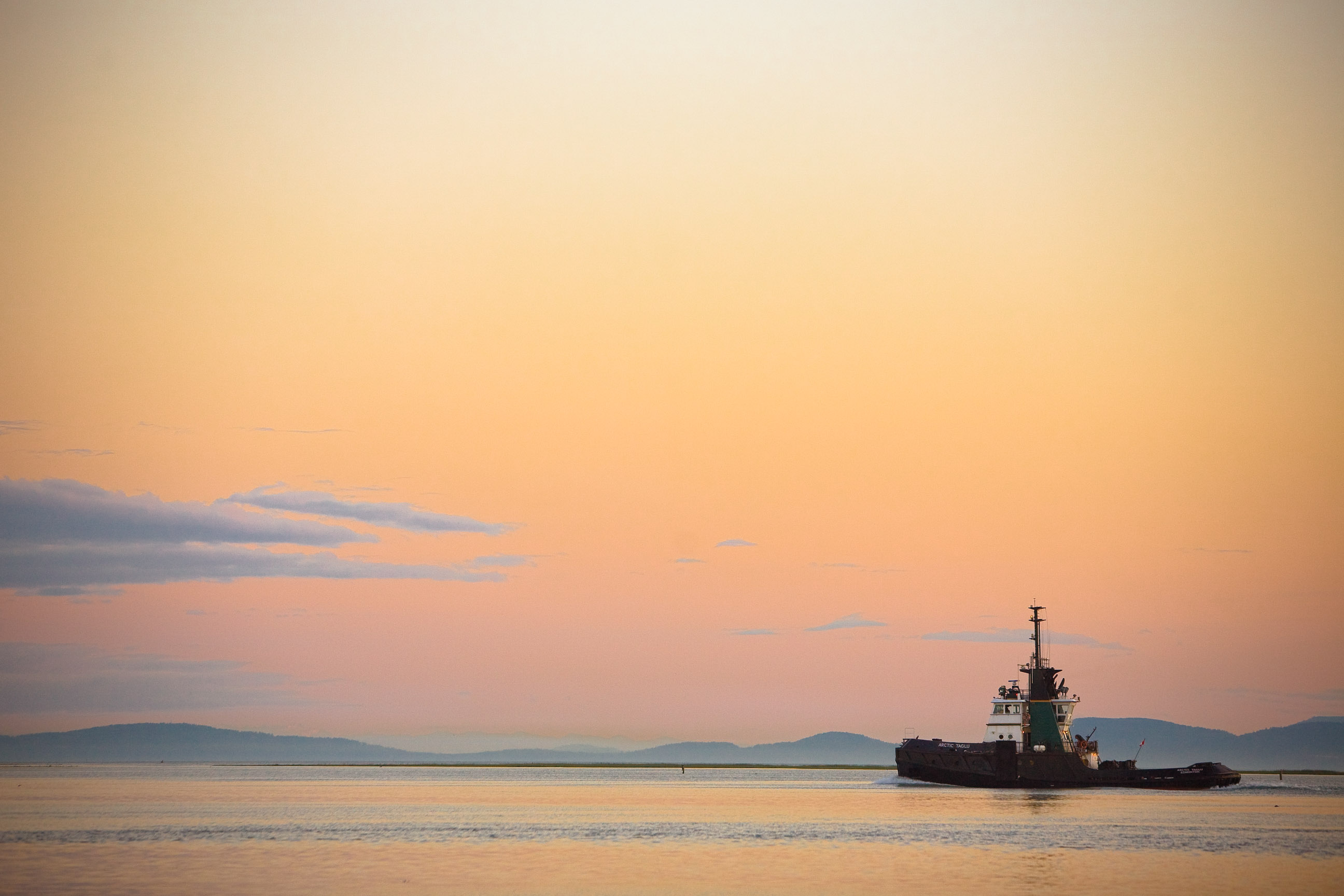 The tug that could (2695398834)