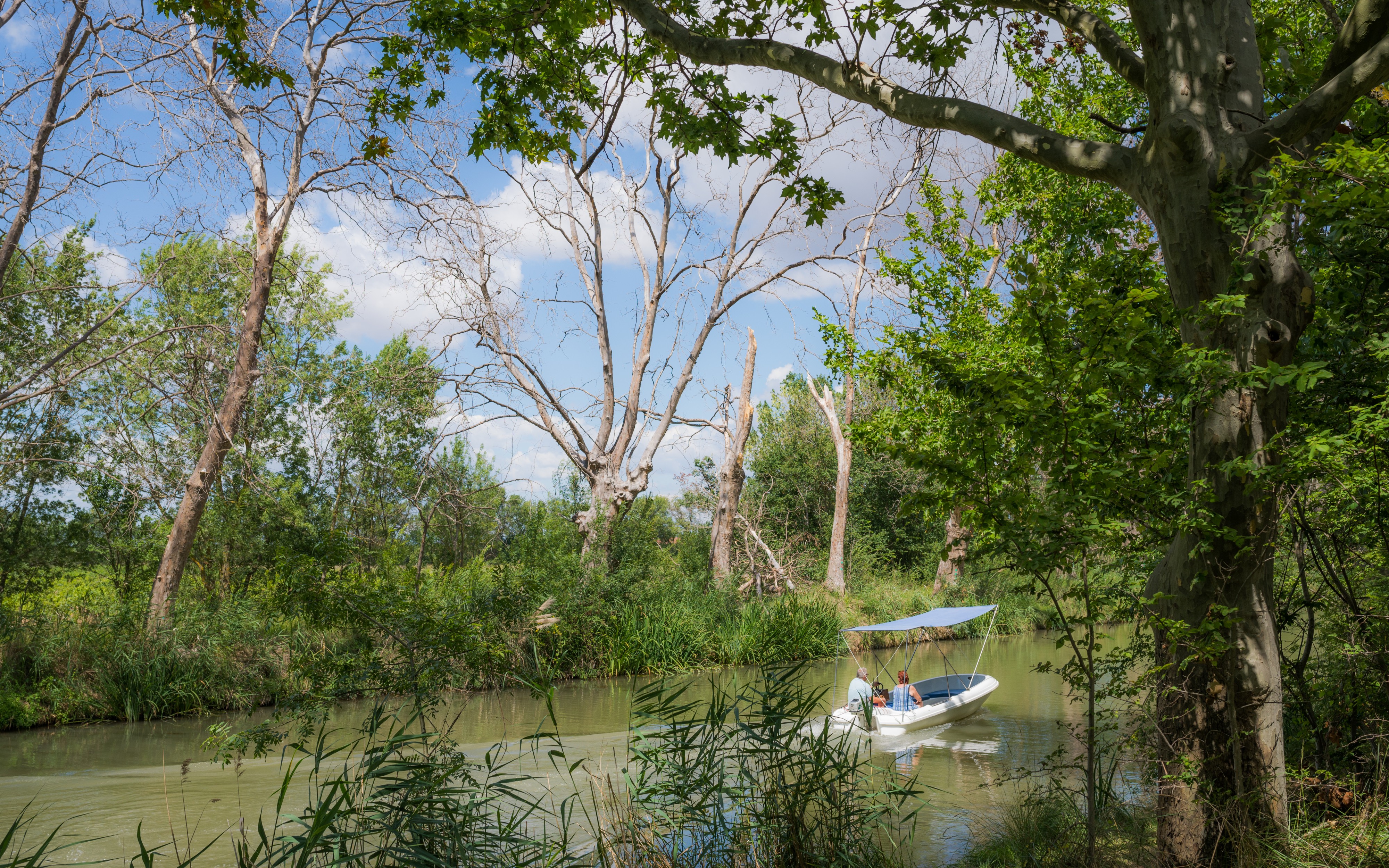 Boat on the Canal du Midi, Agde