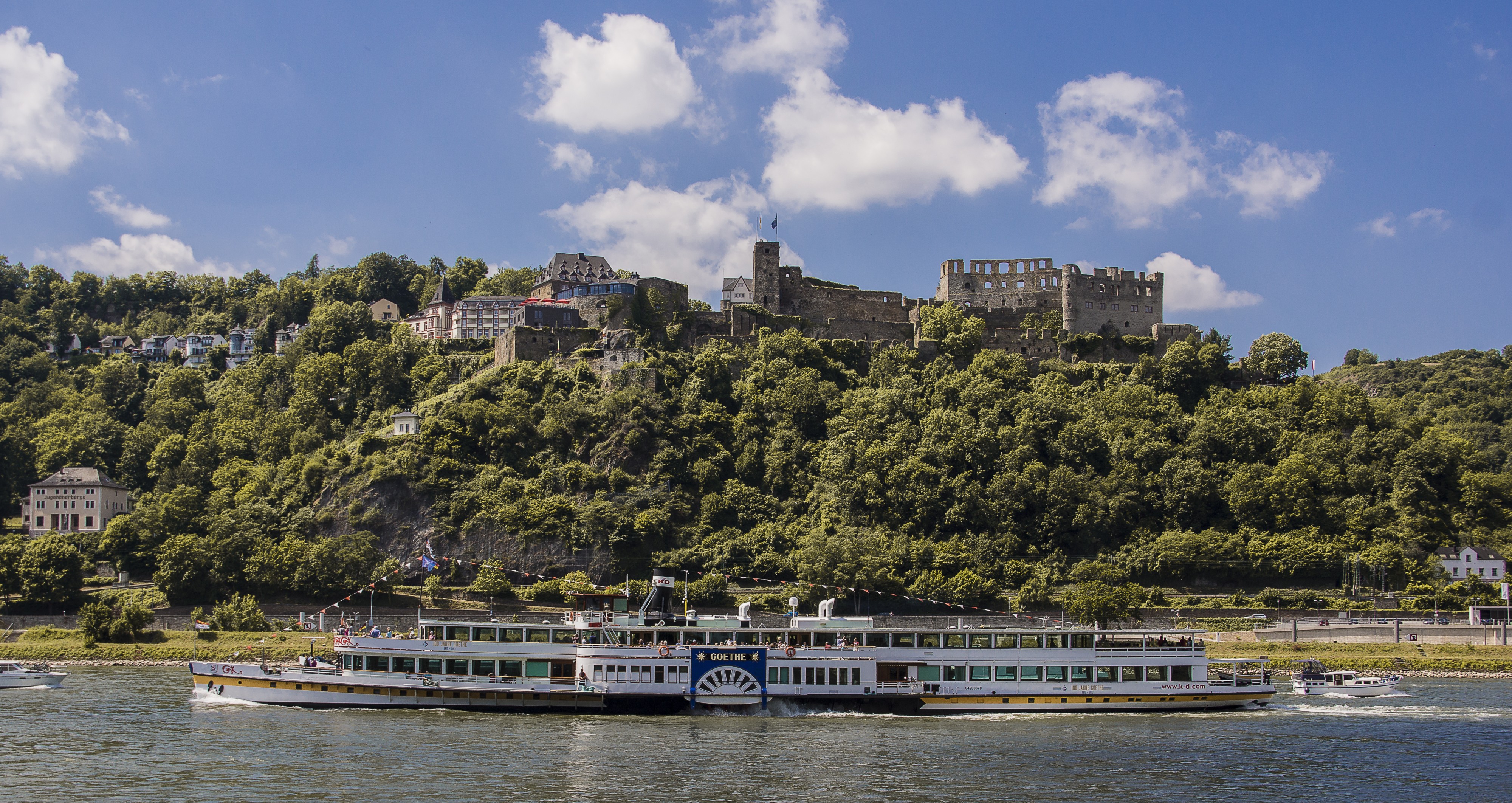 Burgruine Rheinfels xx