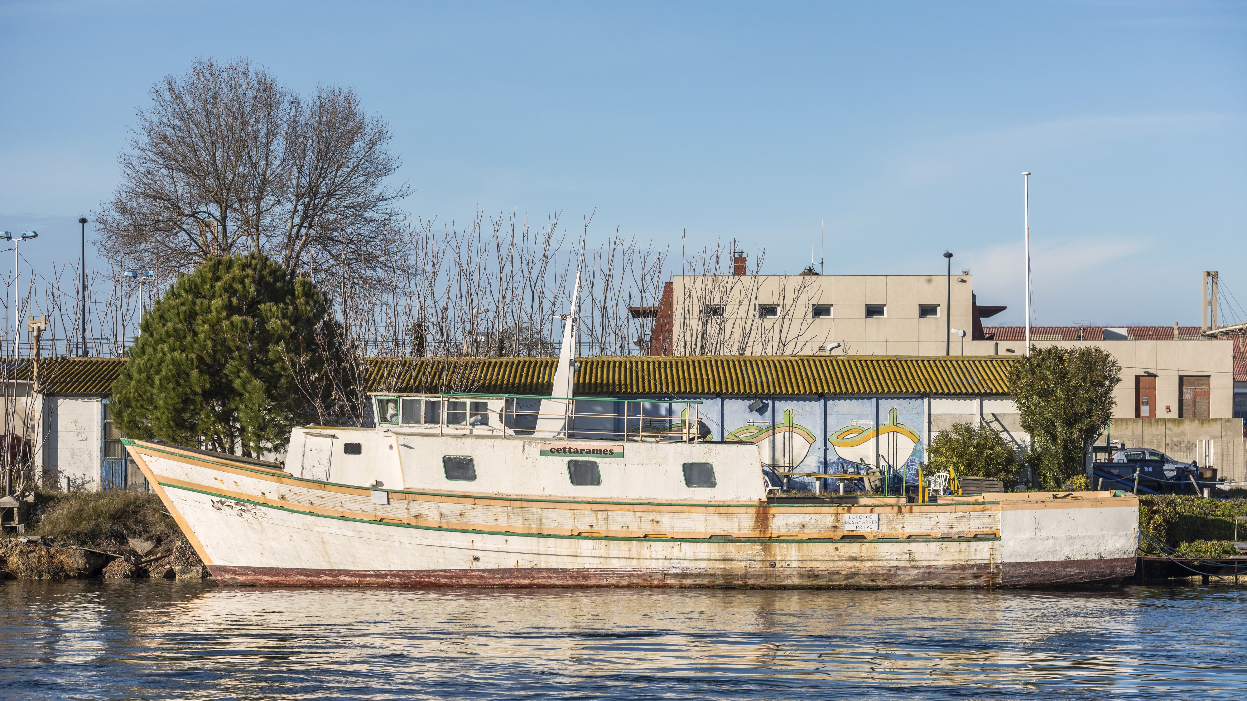 Cettarames (ship, 1980) cf01