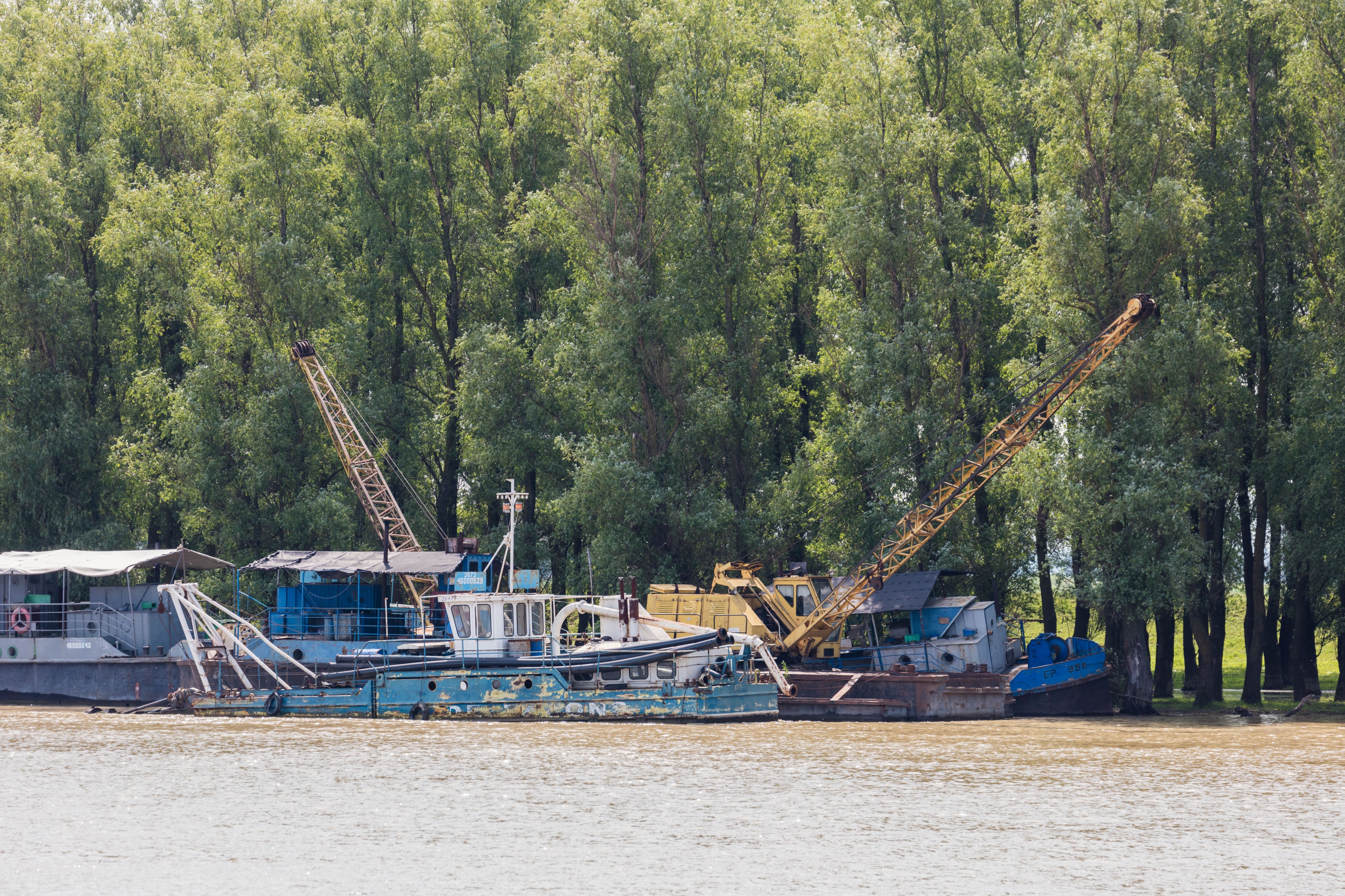 Delta del Danubio, Rumanía, 2016-05-28, DD 10