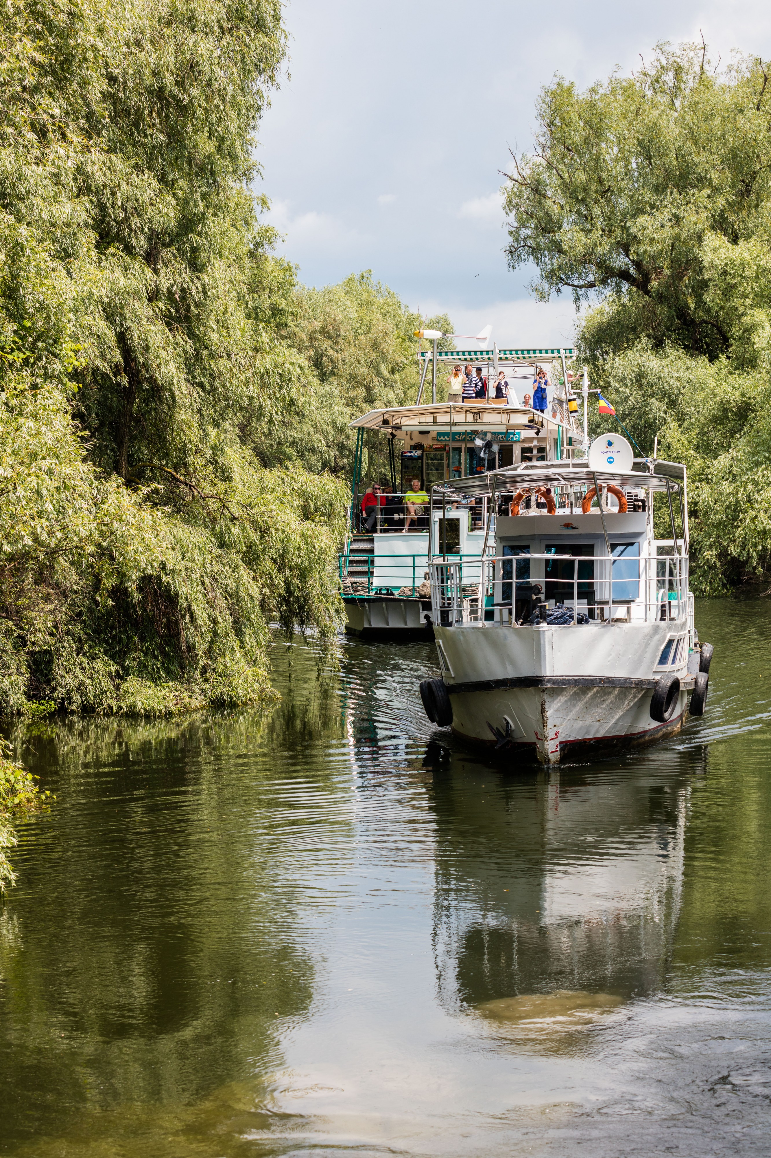 Delta del Danubio, Rumanía, 2016-05-28, DD 24