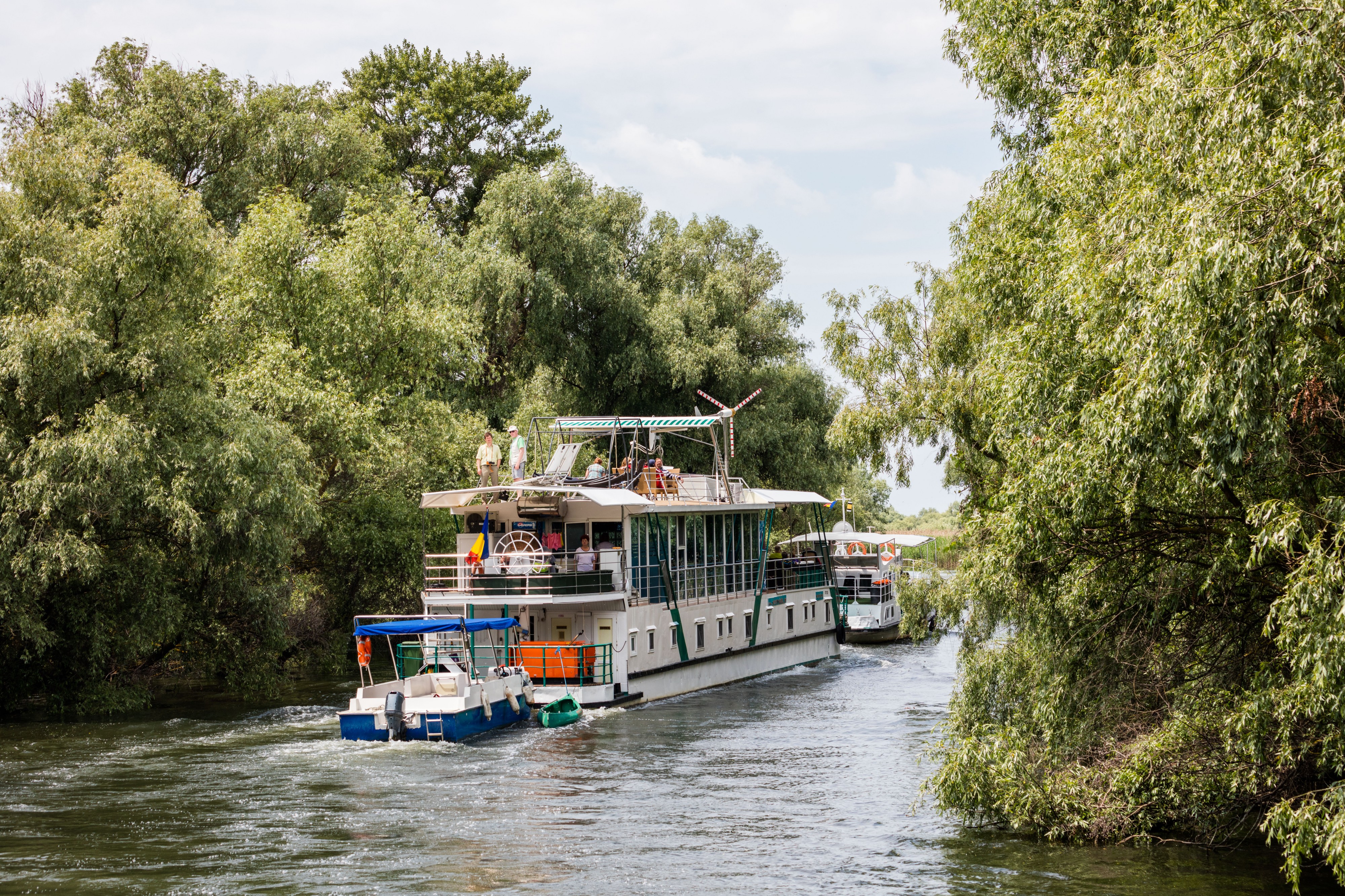 Delta del Danubio, Rumanía, 2016-05-28, DD 25