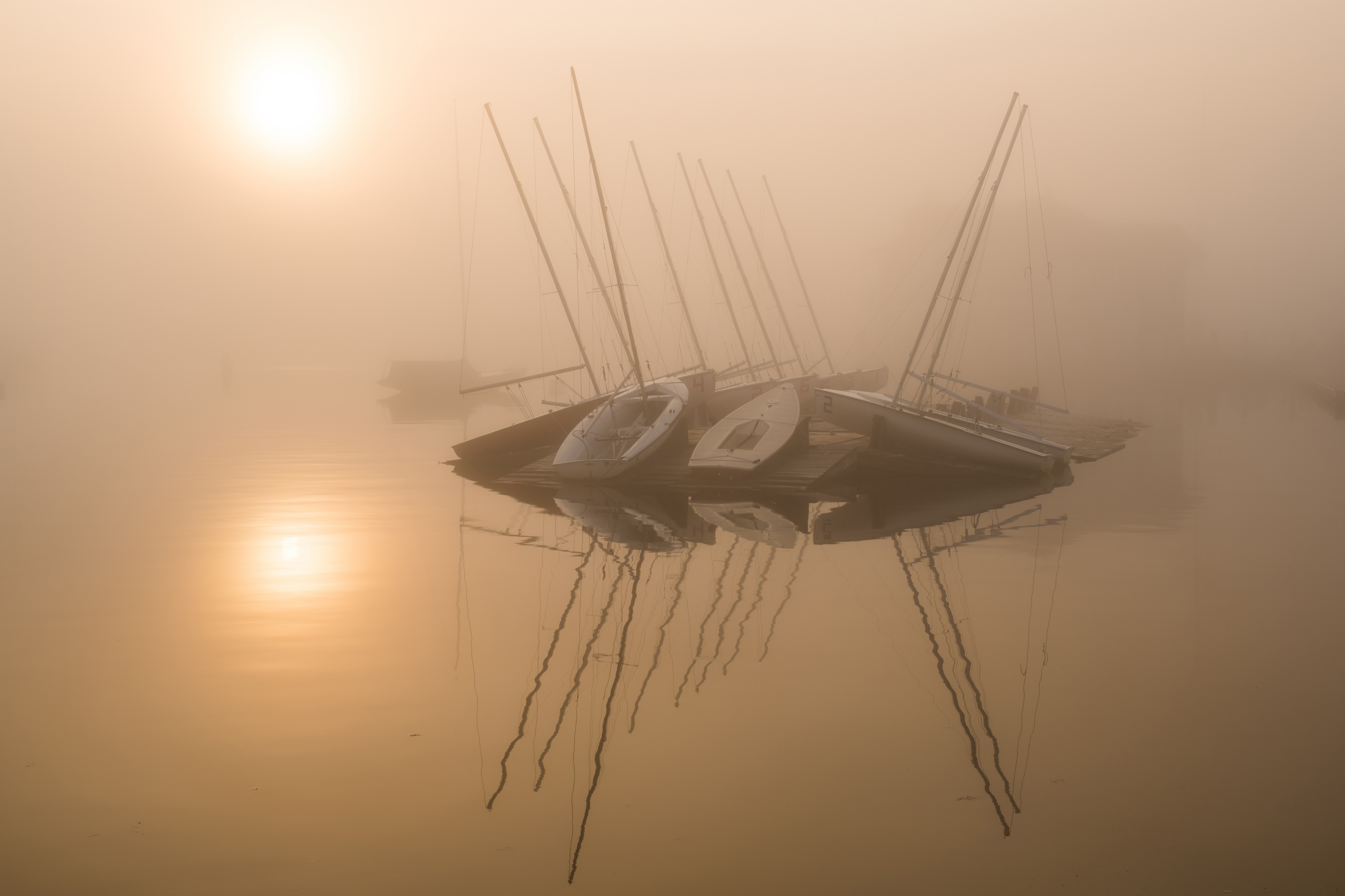 Foggy Watch Hill Cove sunrise