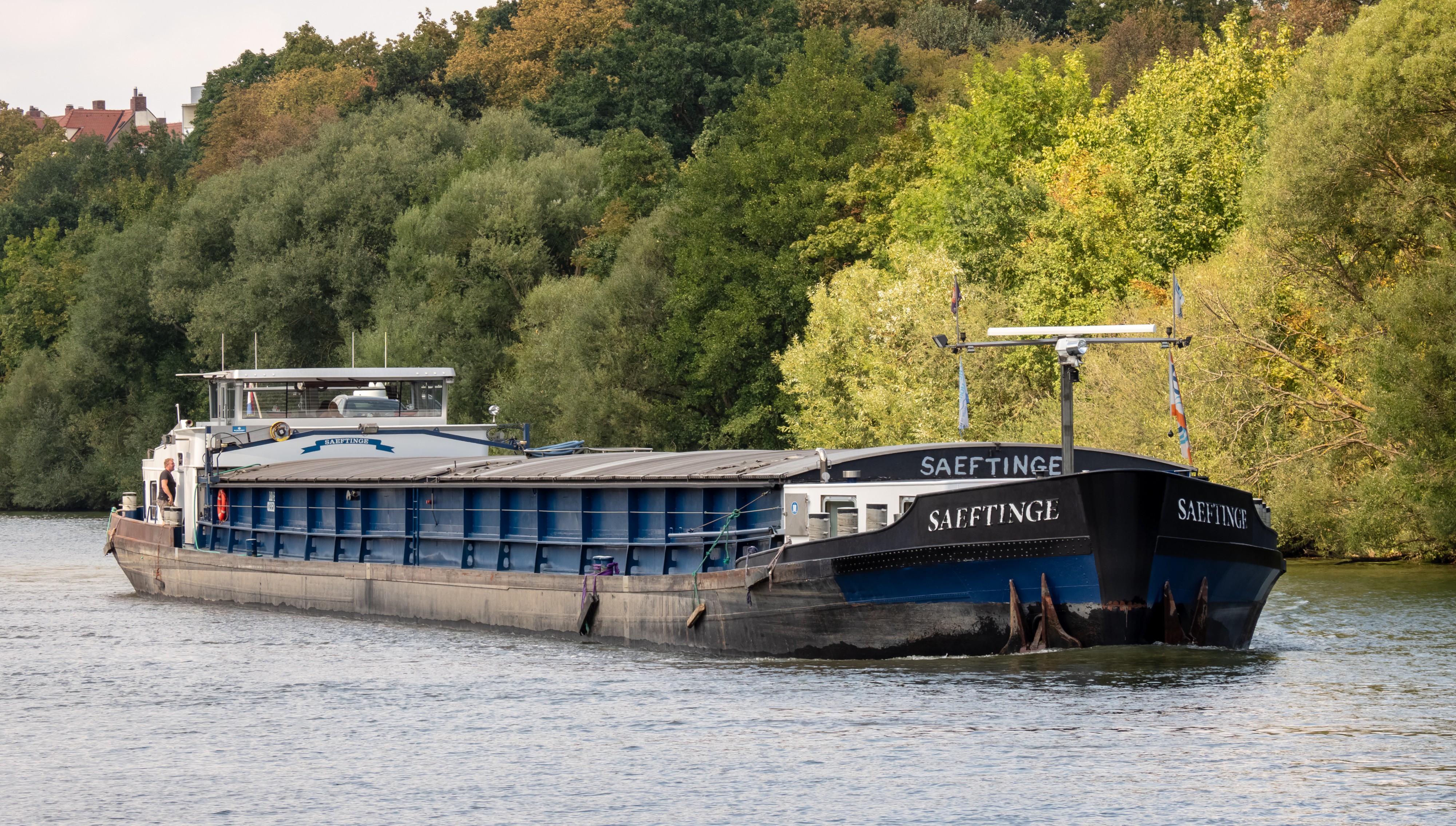 GMS Saeftinge Bamberg 8189812