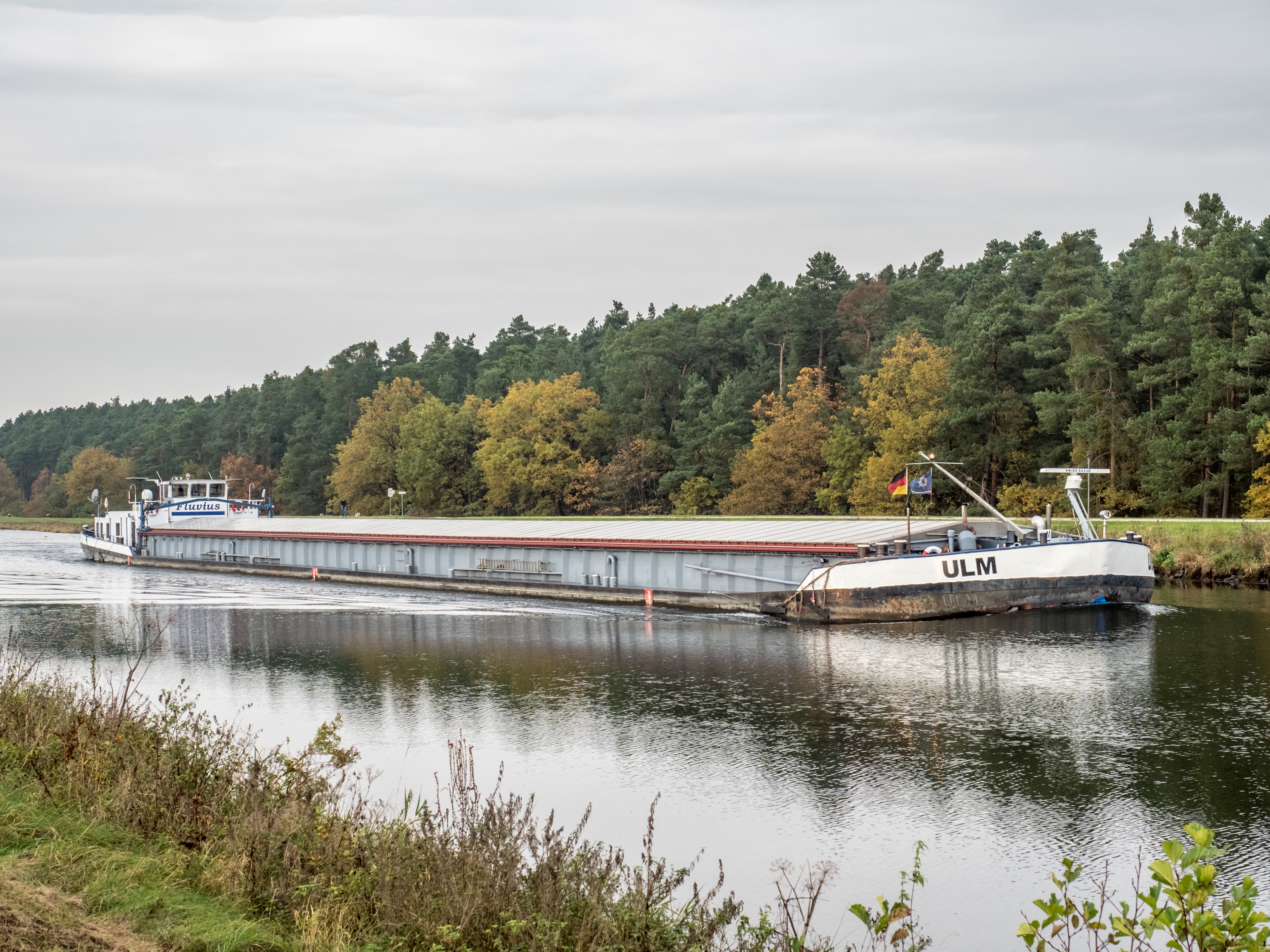 GMS Ulm 260944