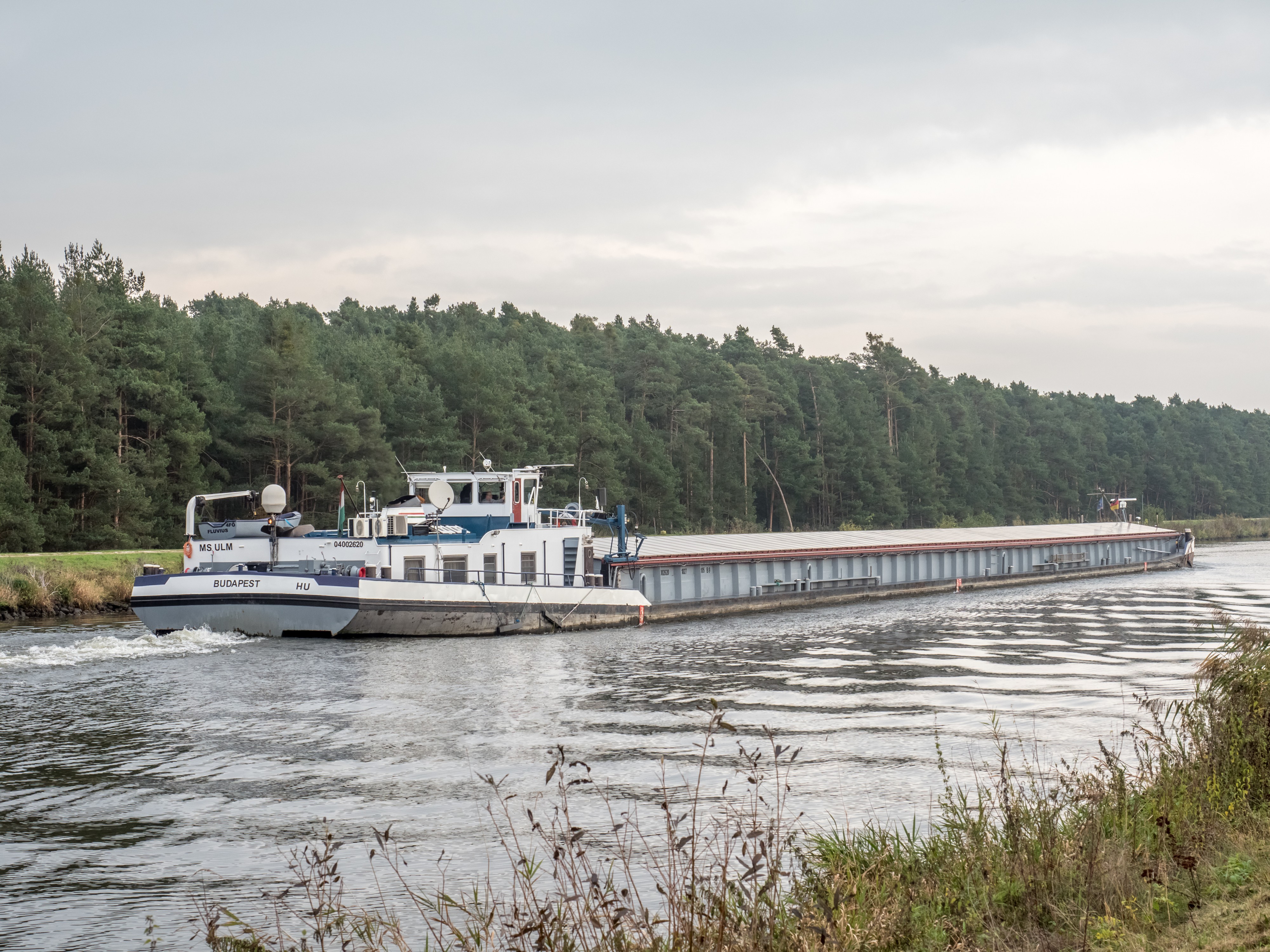GMS Ulm 260958