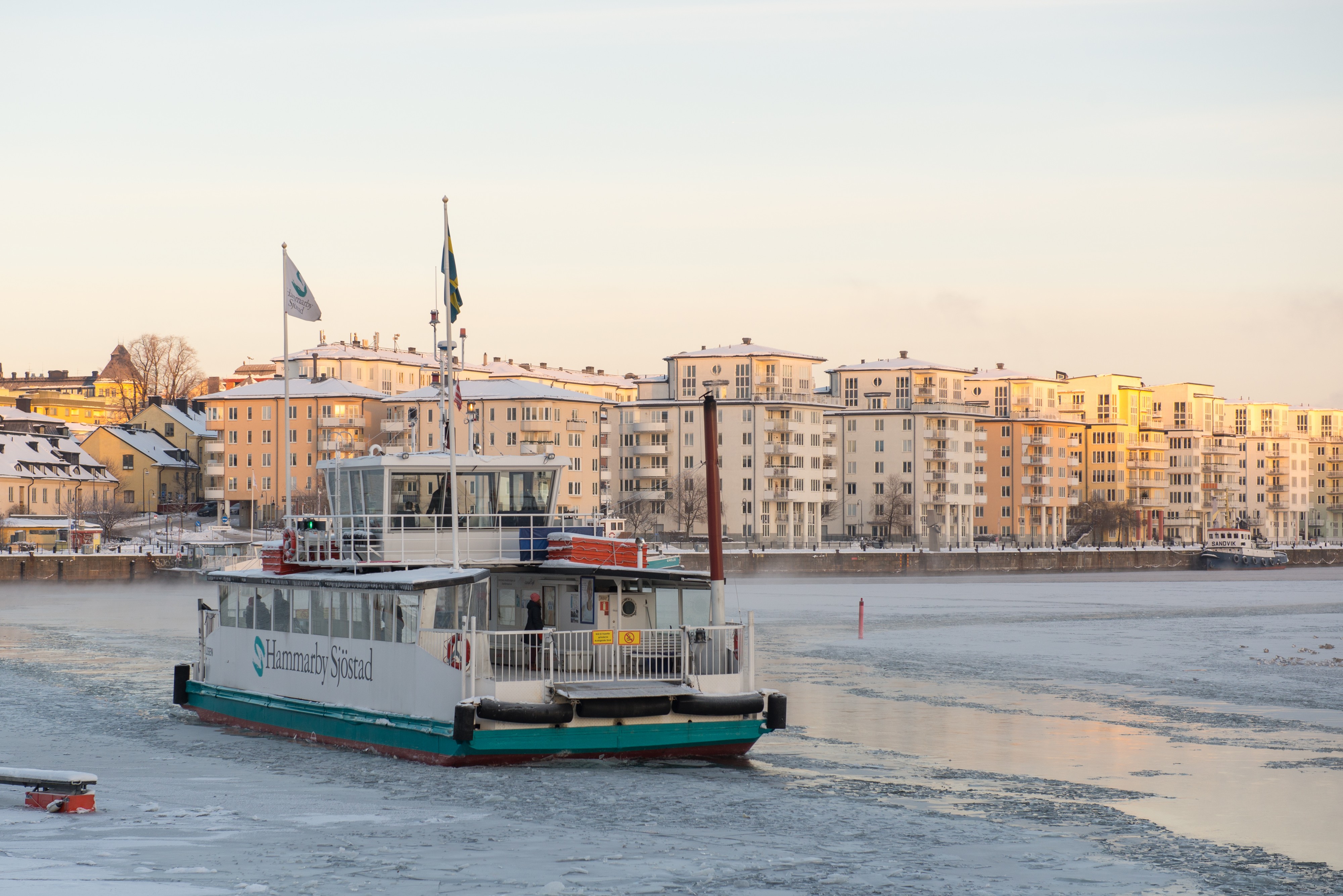 MS Lisen January 2013 01