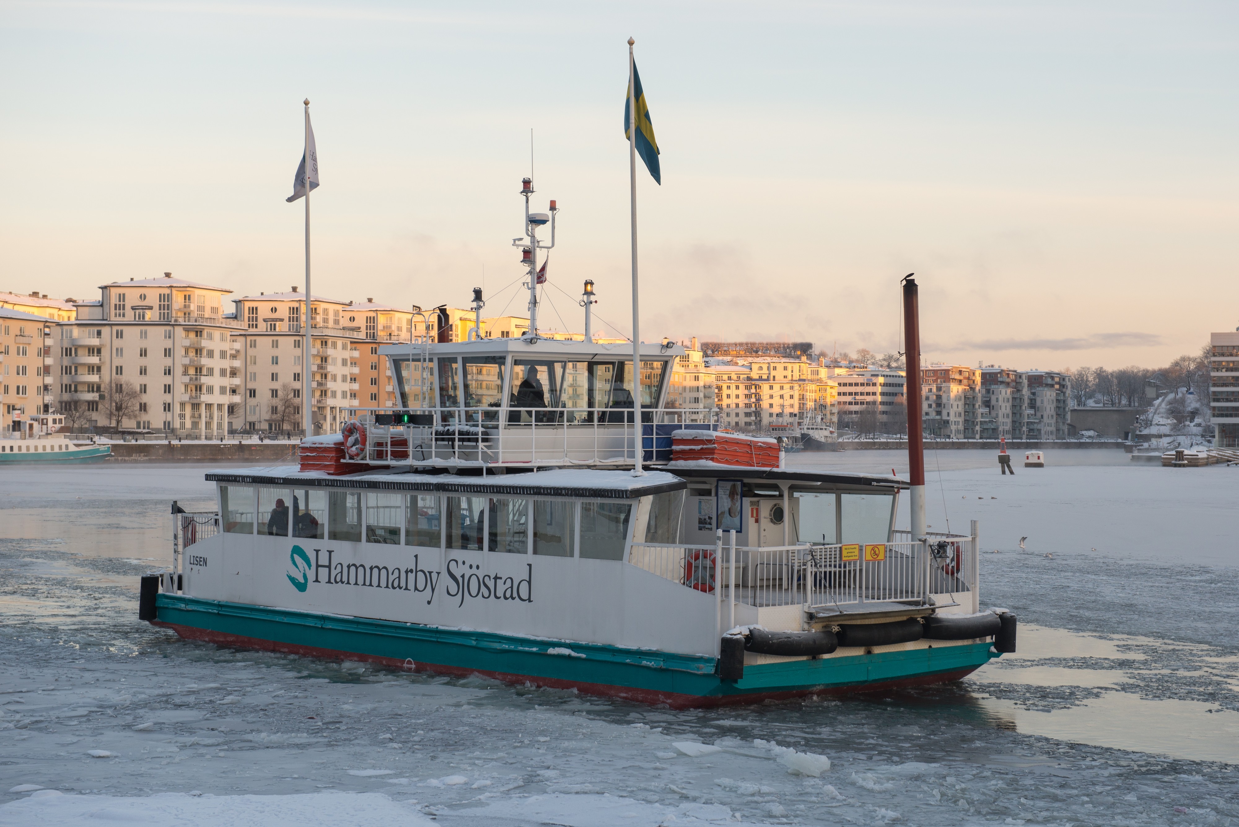 MS Lisen January 2013 02