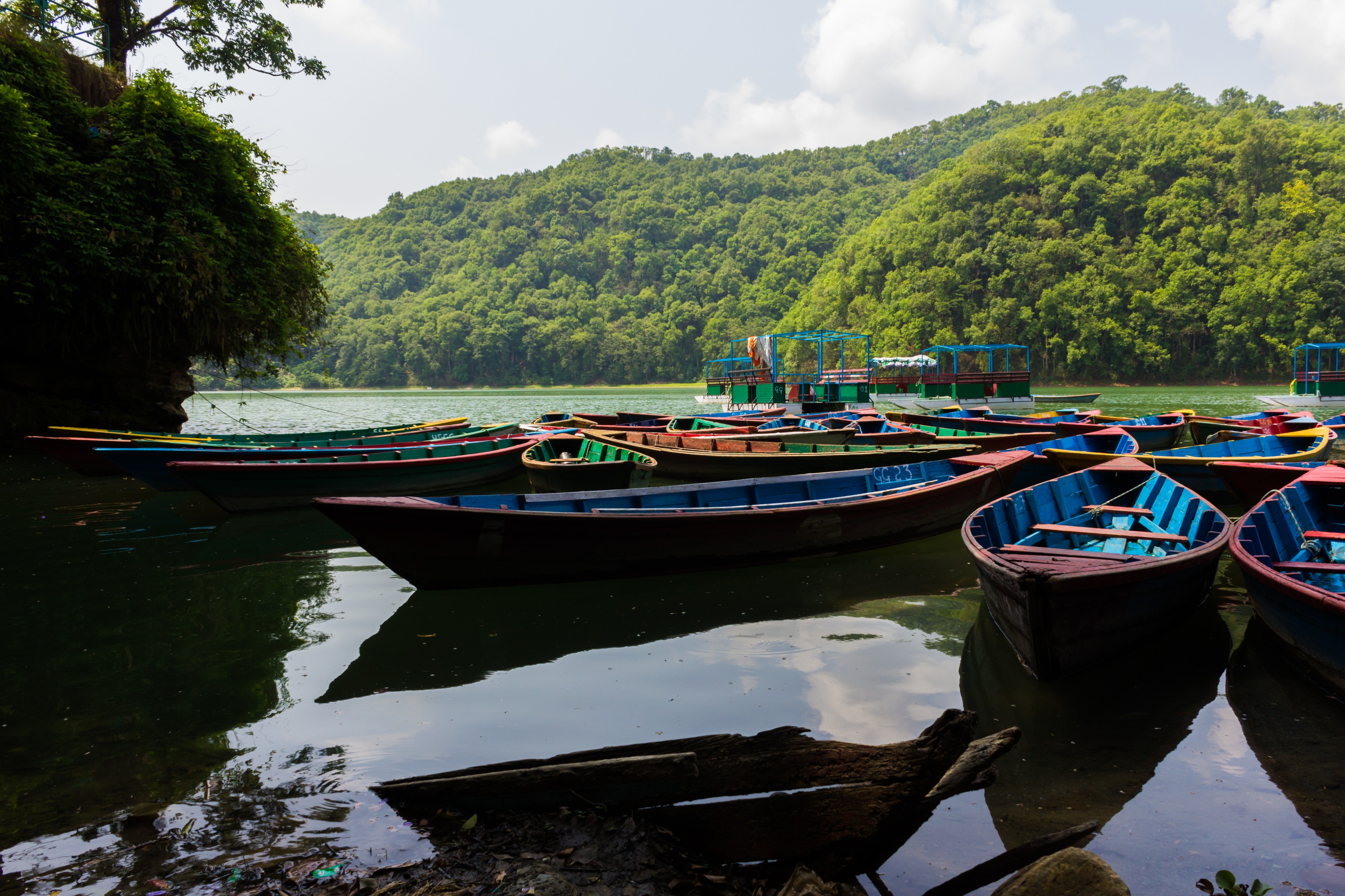 Phewa Lake2605