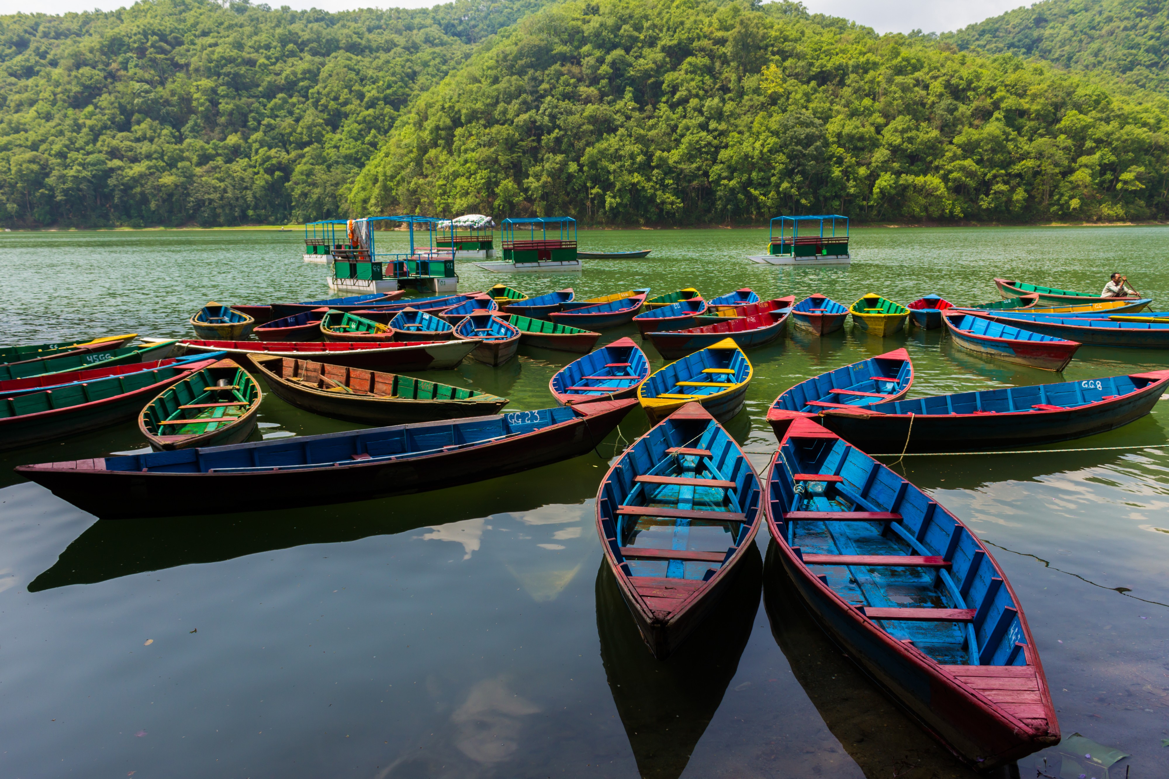 Phewa lake 2604