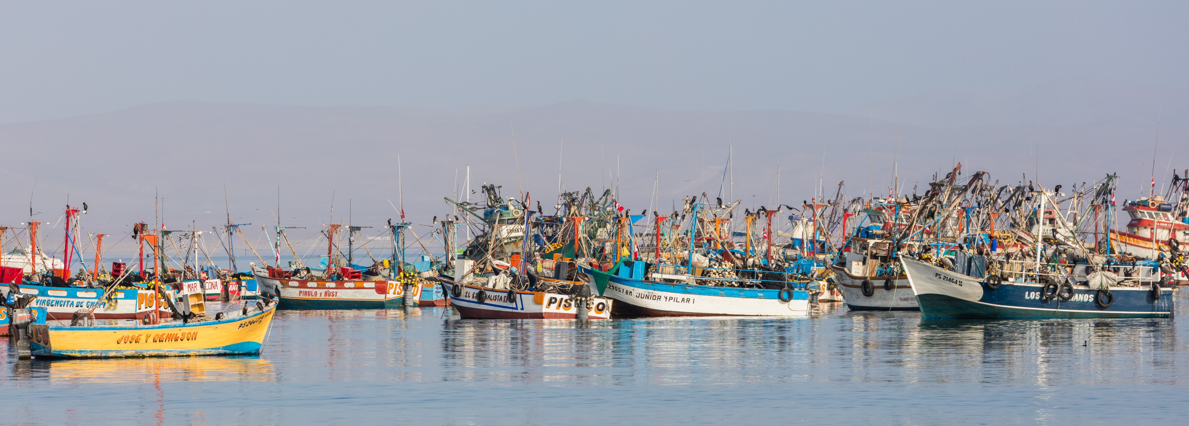 Puerto de Paracas, Perú, 2015-07-29, DD 12