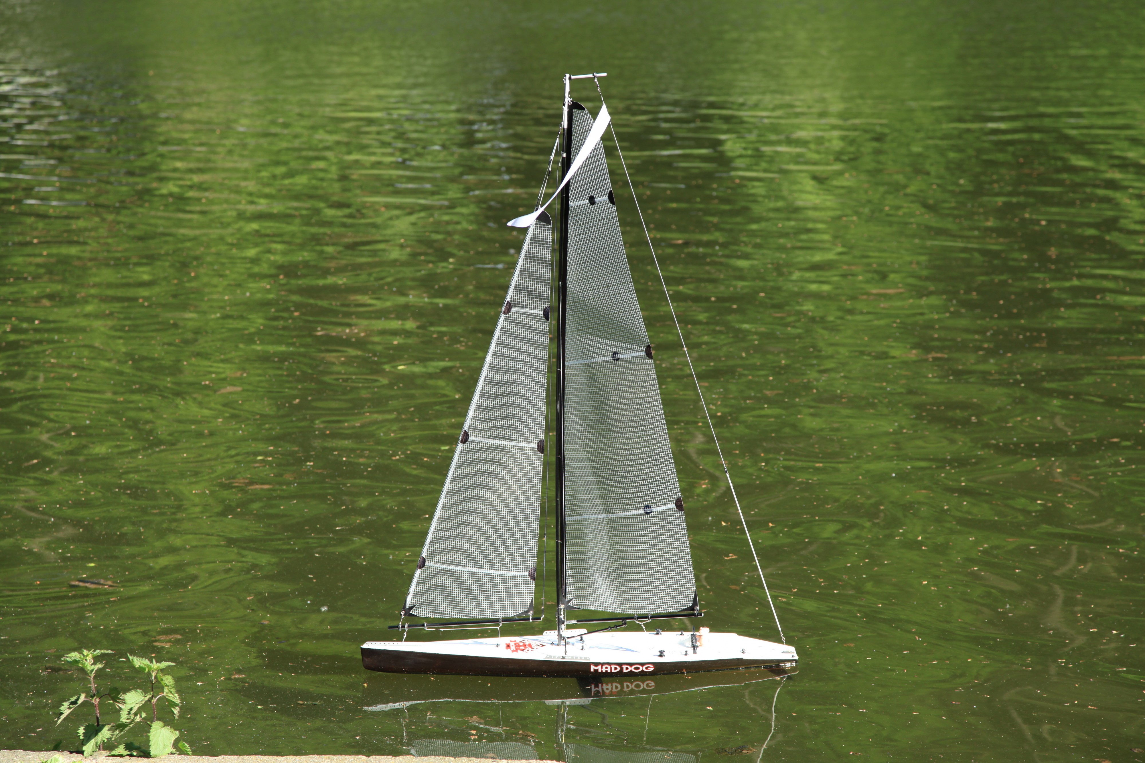 Radevormwald - Uelfetalsperre 02 ies