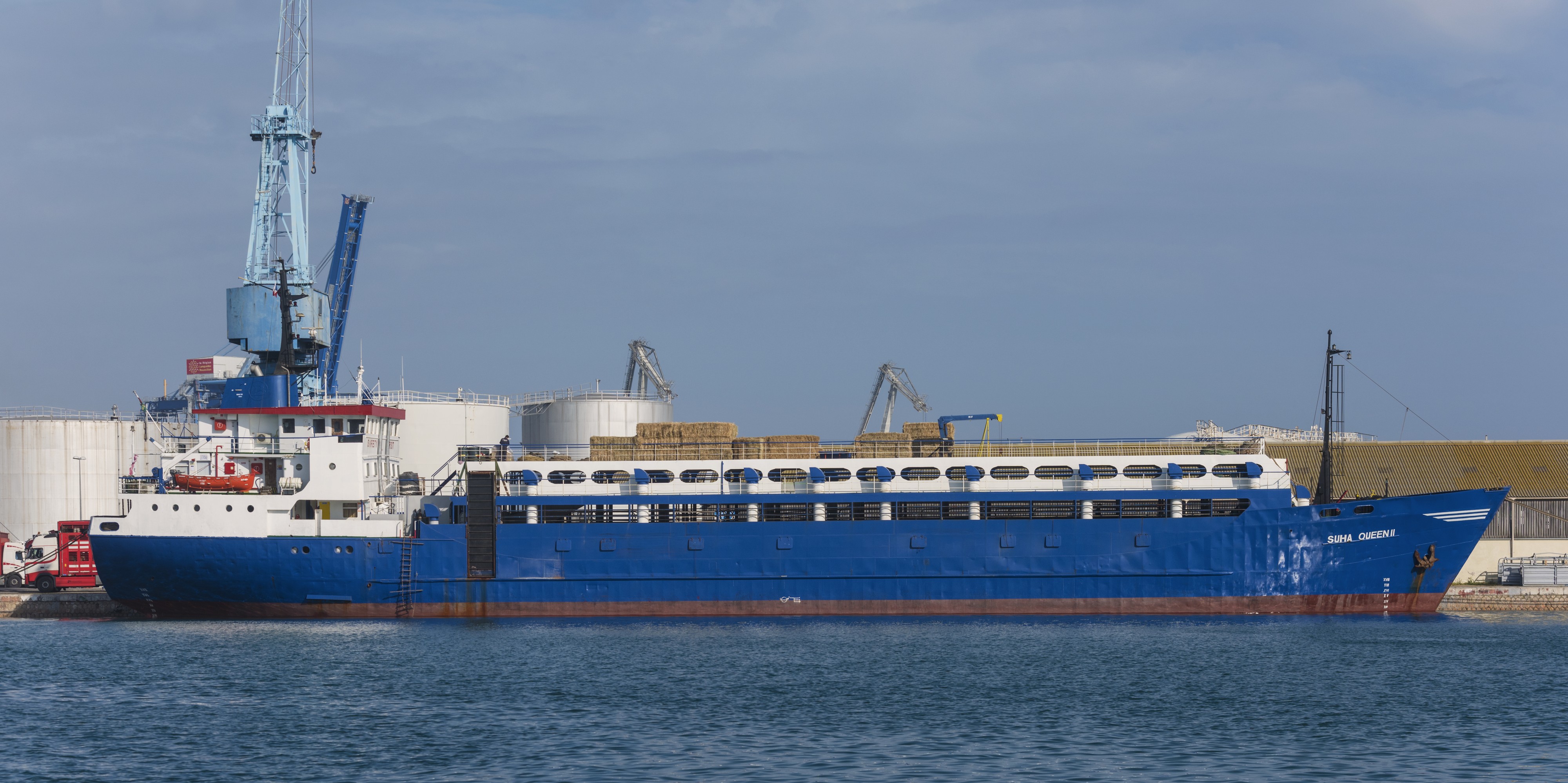 Suha Queen II (ship, 1975), Sète cf01