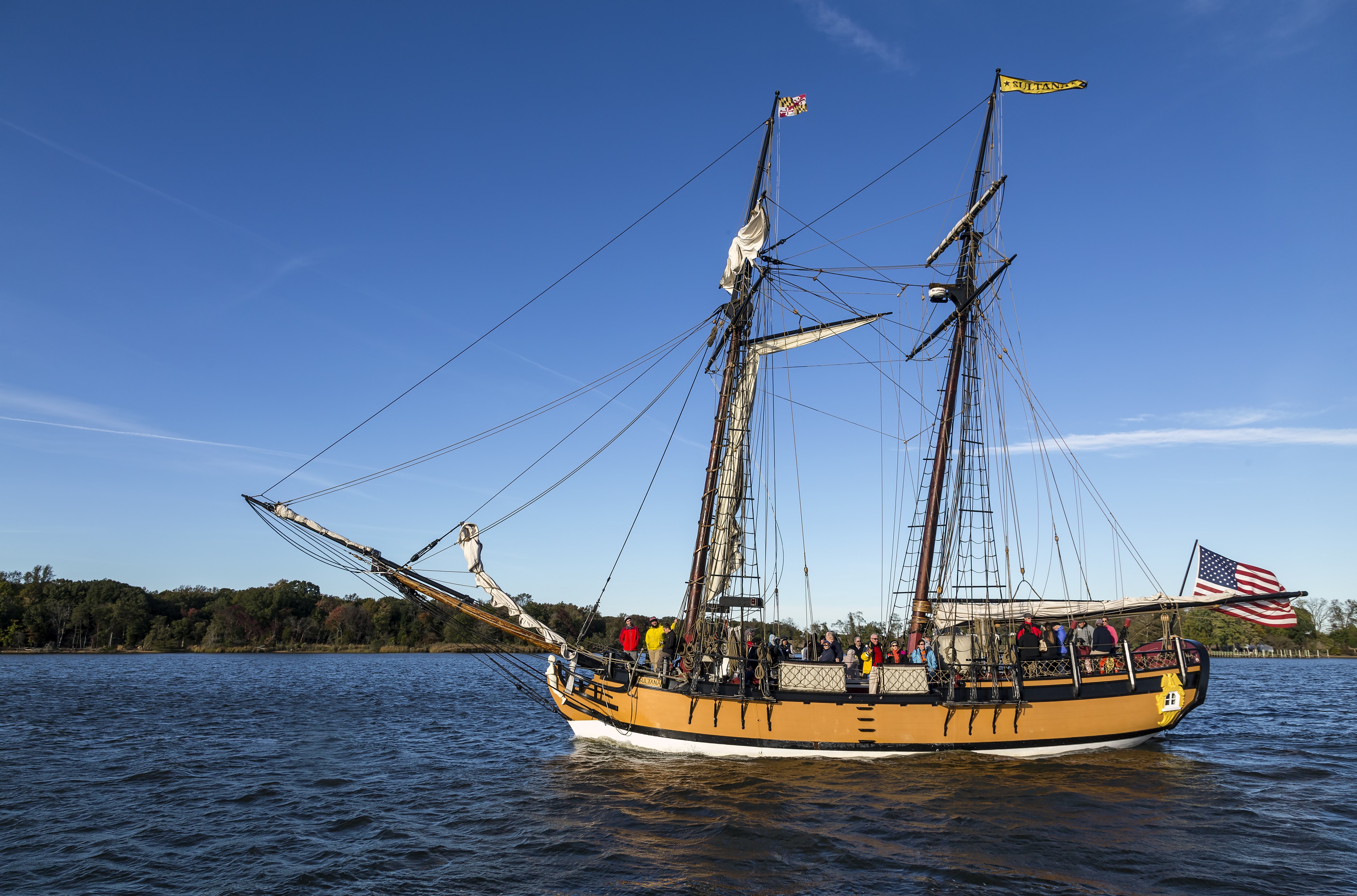 Sultana MD2