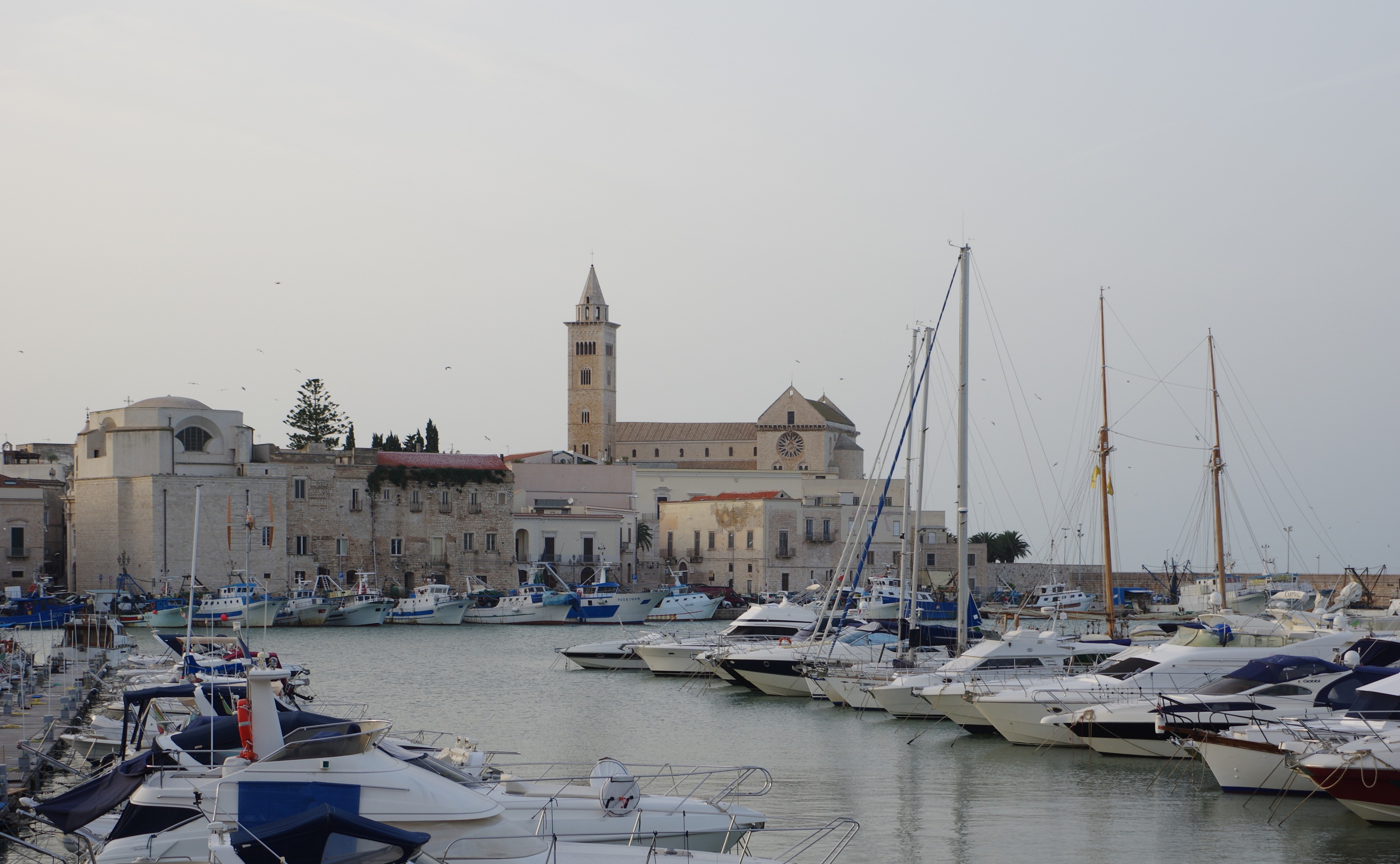 Trani BW 2016-10-14 17-32-54