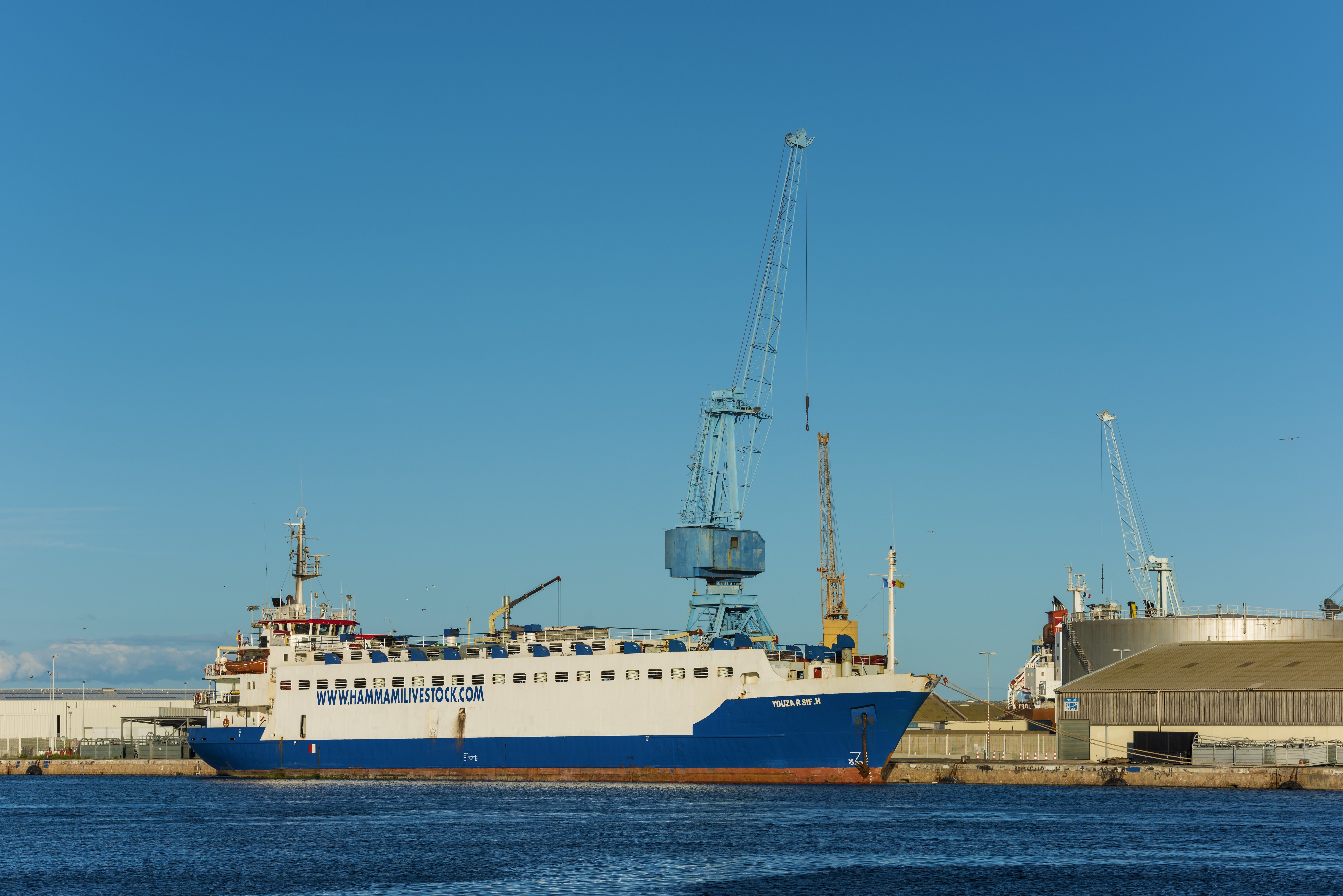 YOUZARSIF H (ship, 1977), Sète 01