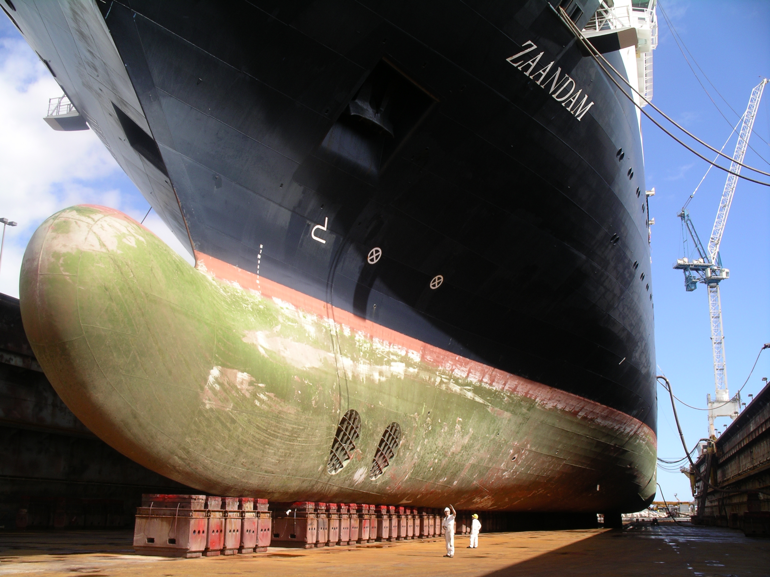 Zadm drydock