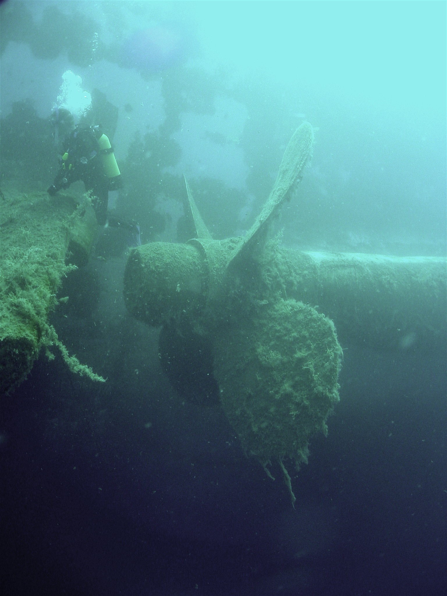 Zenobia 2003 4