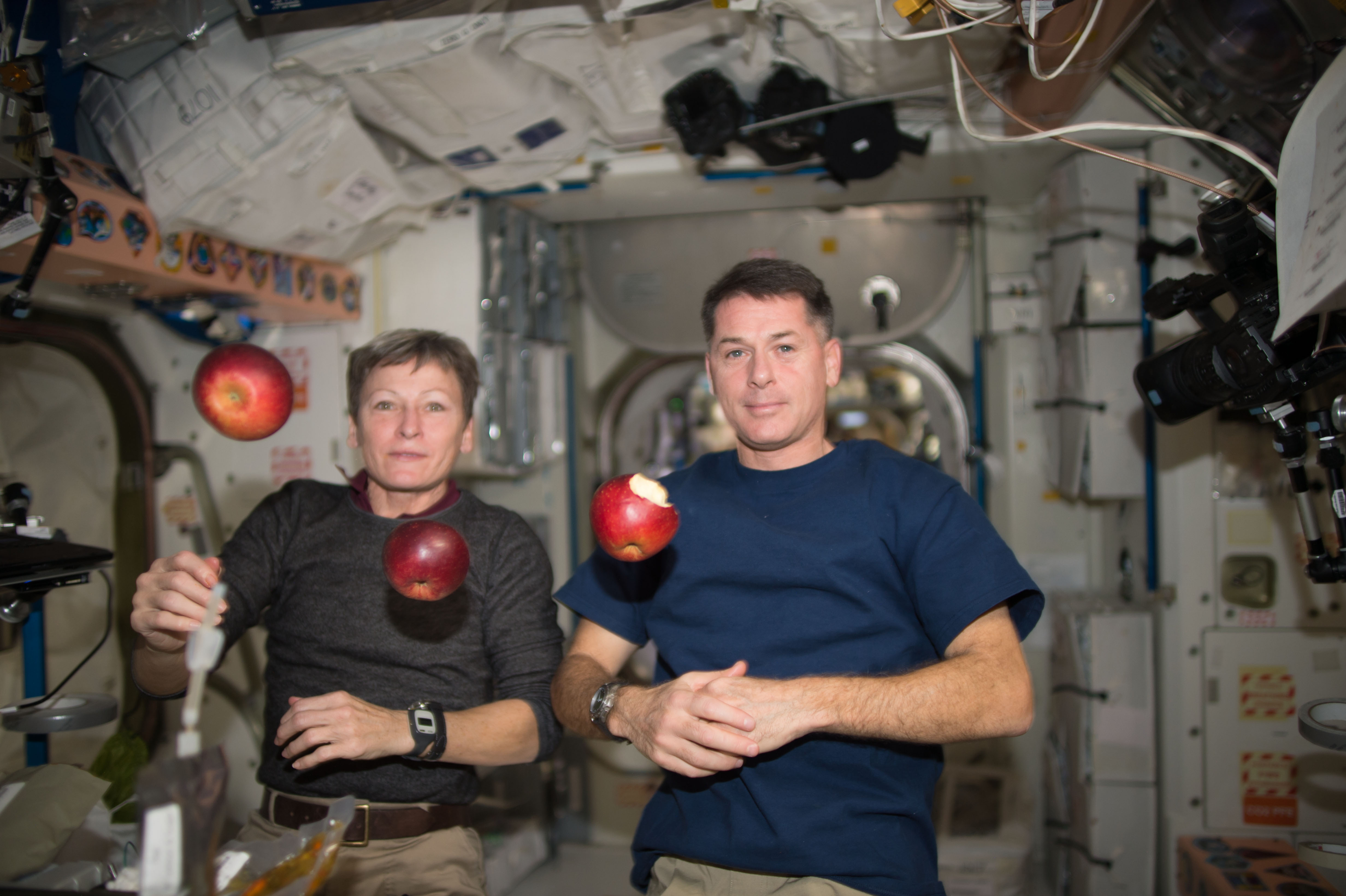 ISS-50 Peggy Whitson and Shane Kimbrough with apples in the Unity node