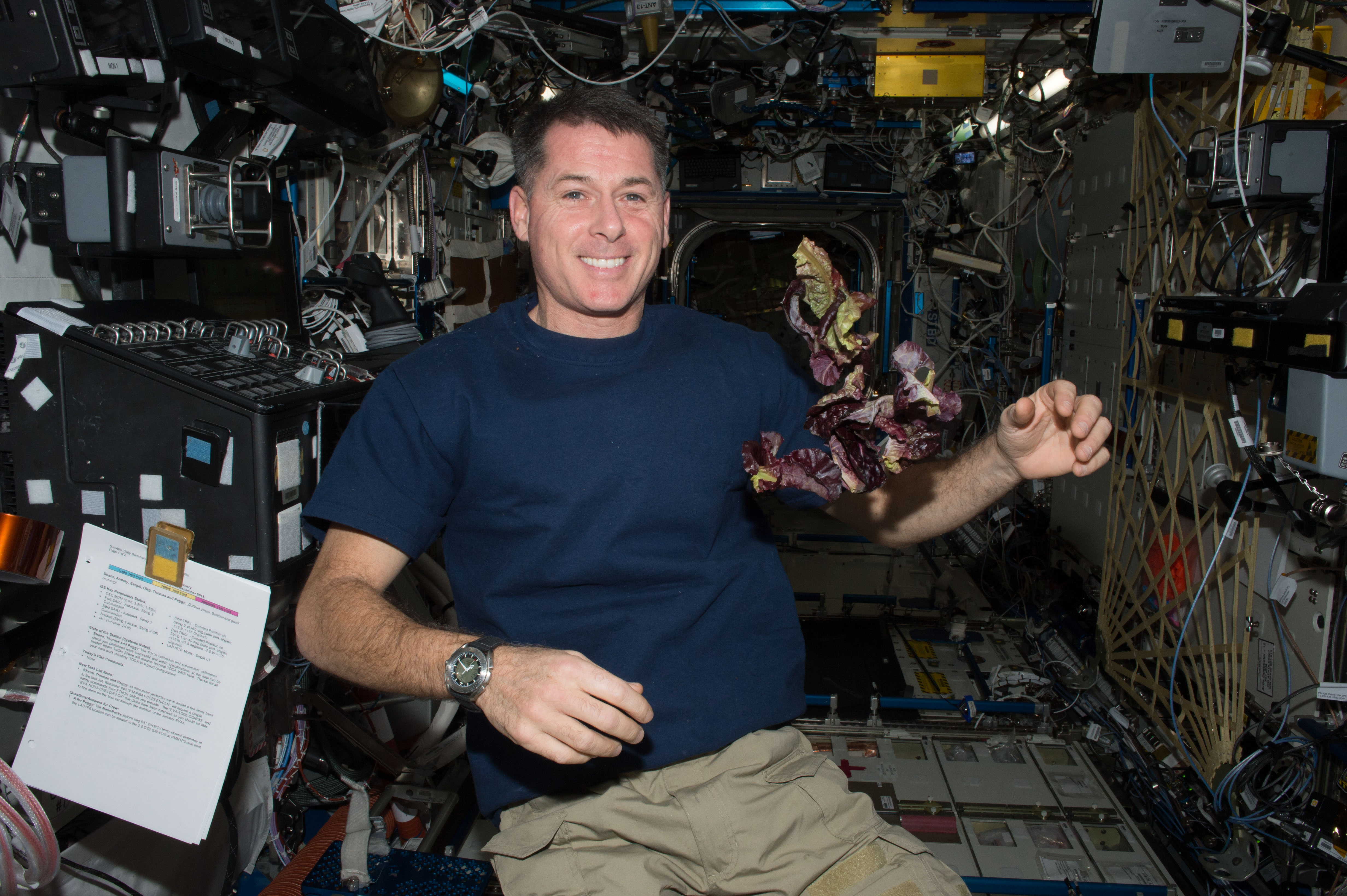ISS-50 Shane Kimbrough with lettuce in the Destiny lab