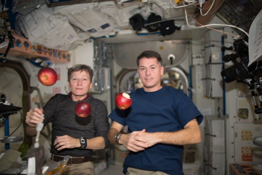 ISS-50 Peggy Whitson and Shane Kimbrough with apples in the Unity node