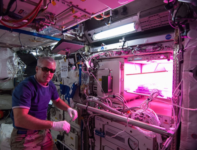 ISS-39 Steve Swanson with Veggie in the Columbus module