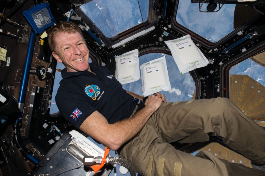 ISS-46 Timothy Peake with Space Seeds in the Cupola