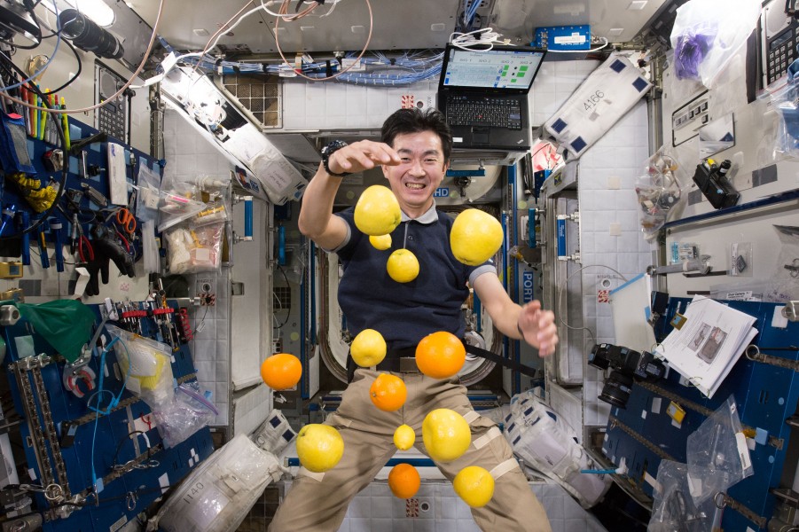 JAXA astronaut Kimiya Yui corrals the supply of fresh fruit that arrived on HTV-5