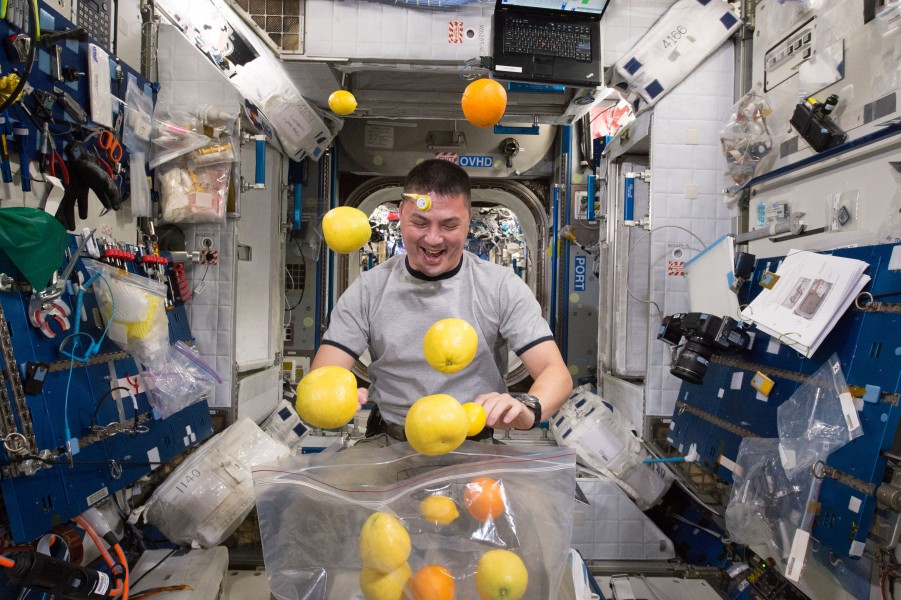 NASA astronaut Kjell Lindgren corrals the supply of fresh fruit that arrived on HTV-5