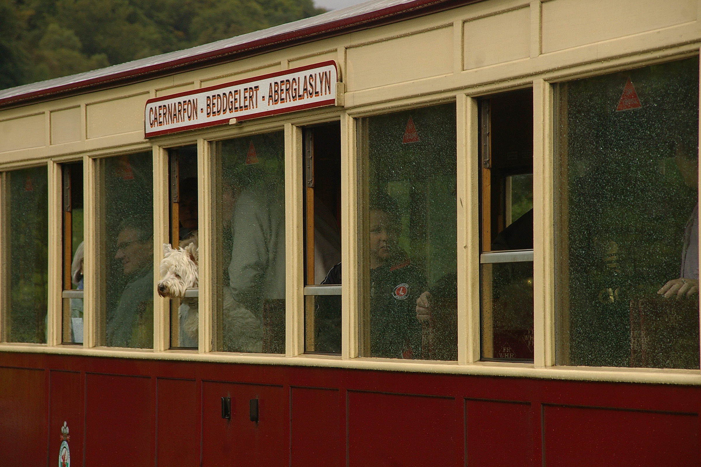 Aberglaslyn WHR MMB 08
