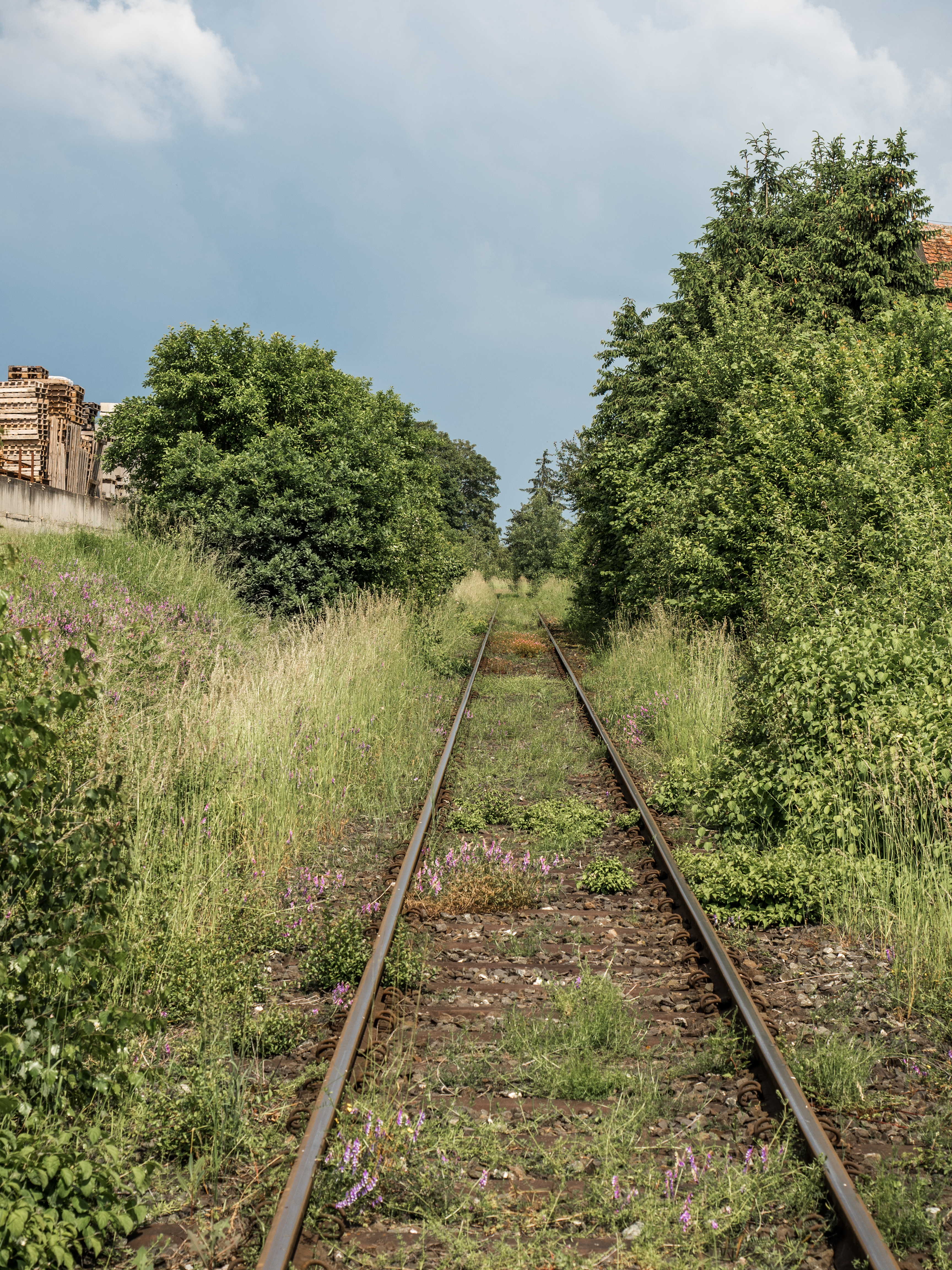 Bahnübergang-Sambach-P6055927