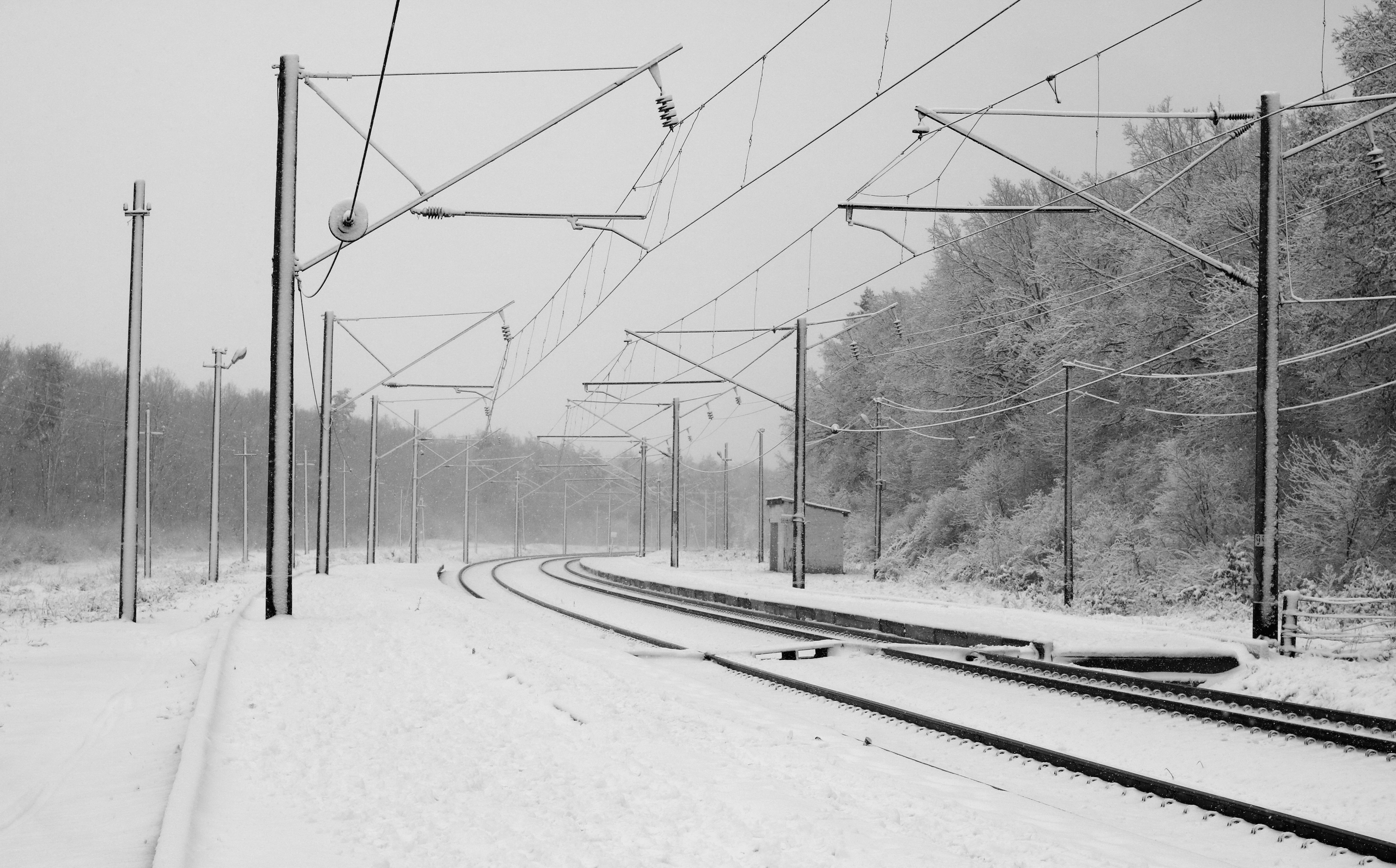 Desenka Railway Halt 2017 BW G1