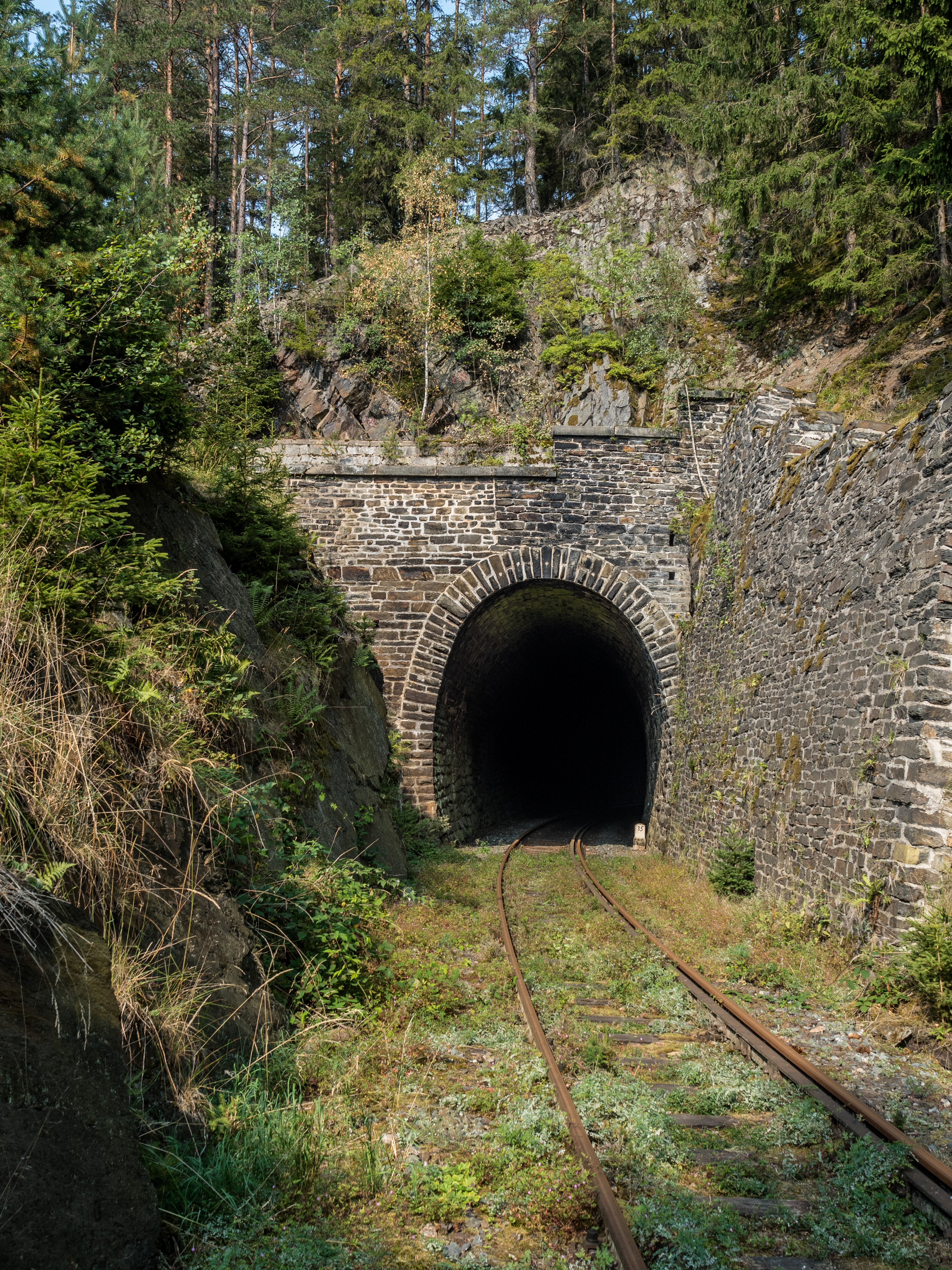 Eisenbahnlinie-Saalestauseen-8132386 DxO