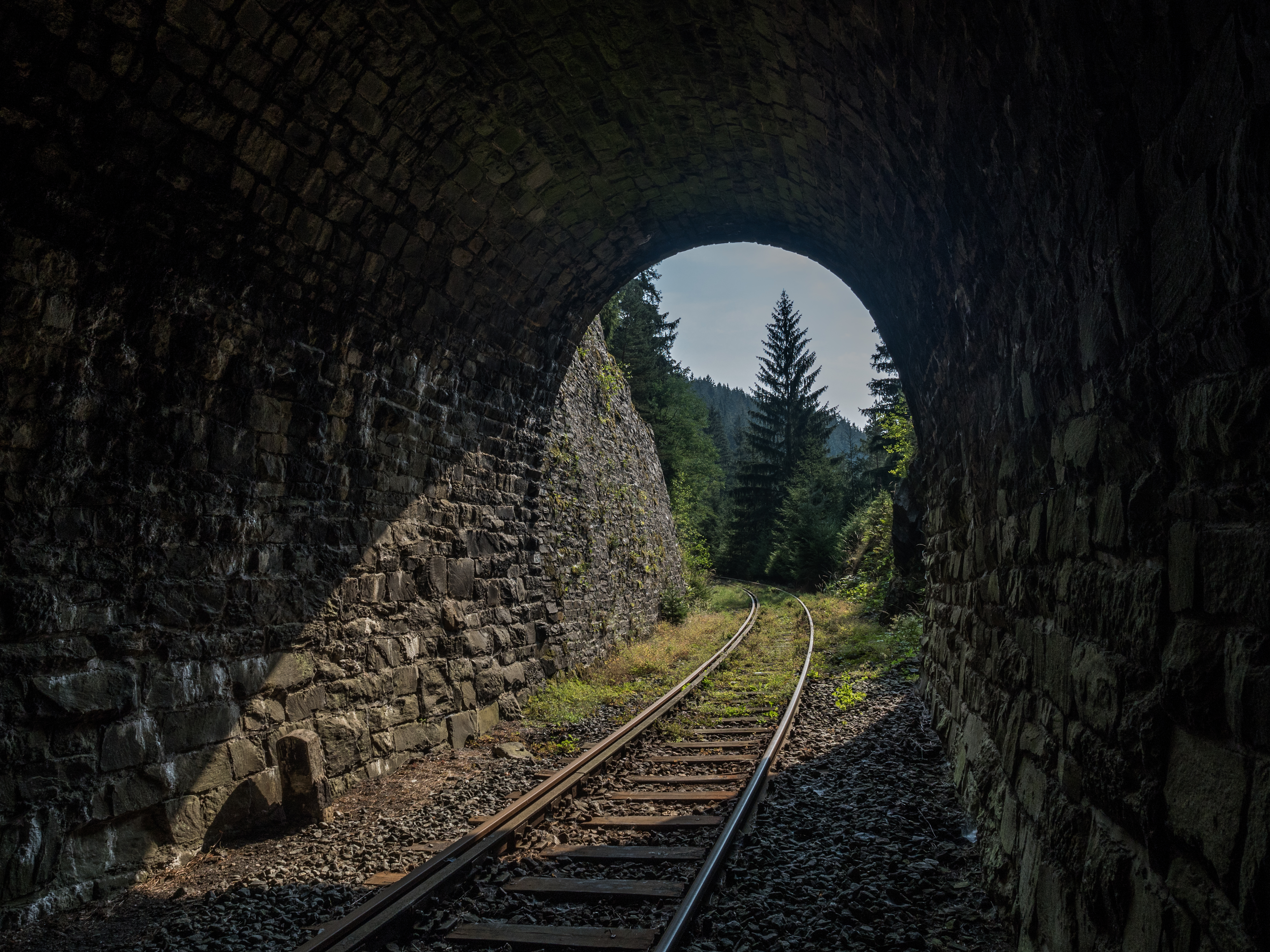 Eisenbahnlinie-Saalestauseen-8132387