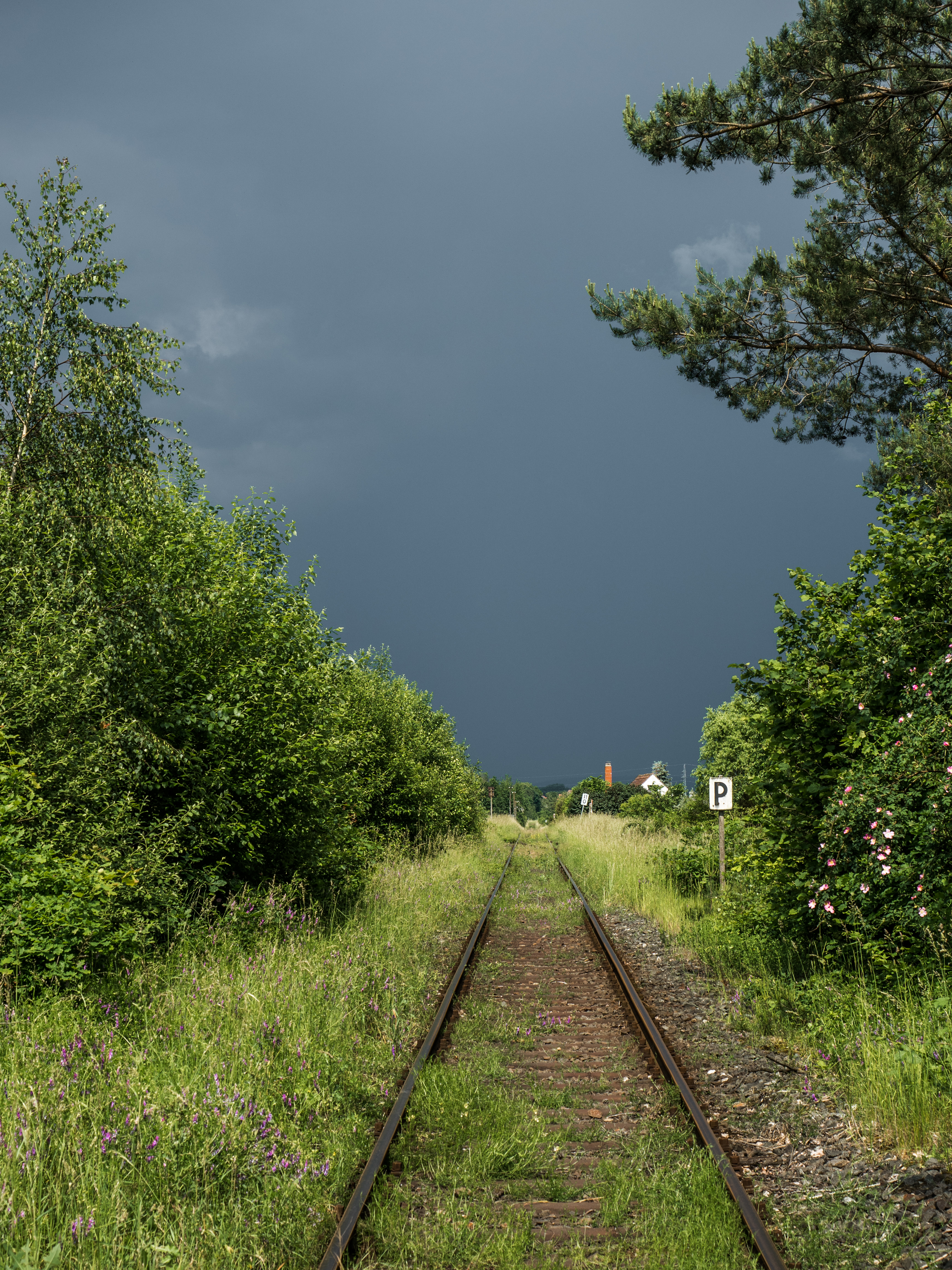 Mühlhausen-Bahnübergang-6055945