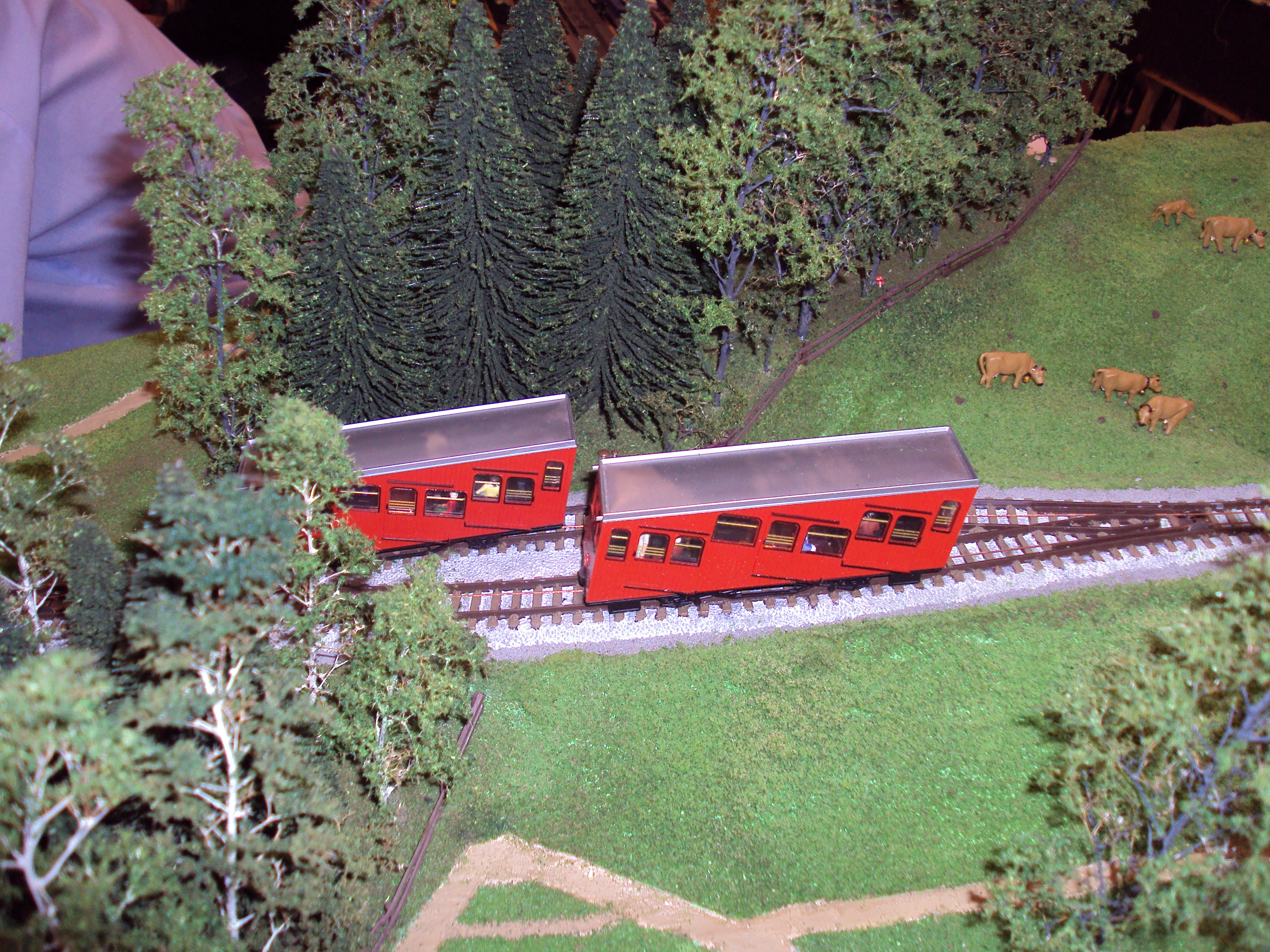 Merseyside Model Railway Society 2009 Exhibition DSC04199