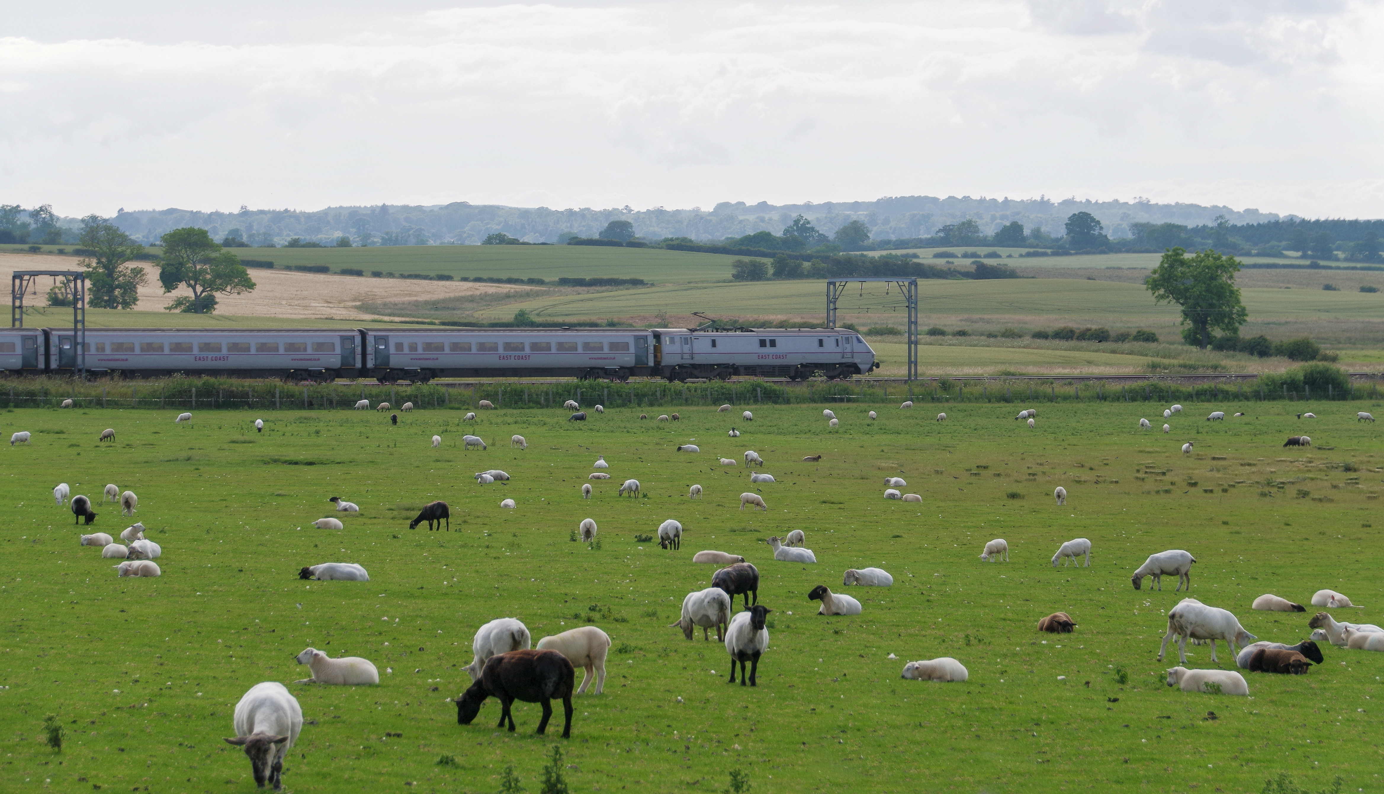 Newham MMB 10 East Coast Main Line