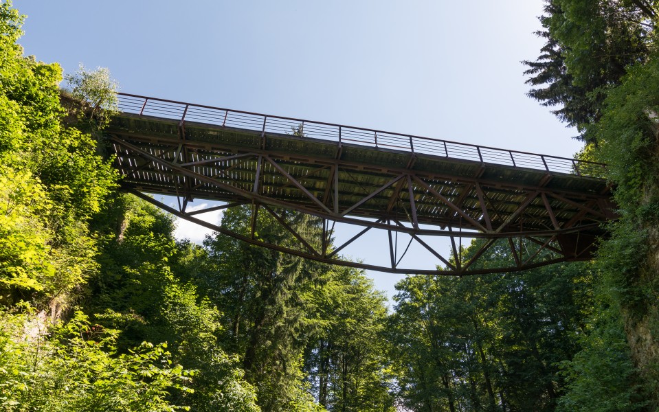2016 Srebrna Góra, most wiszący 1
