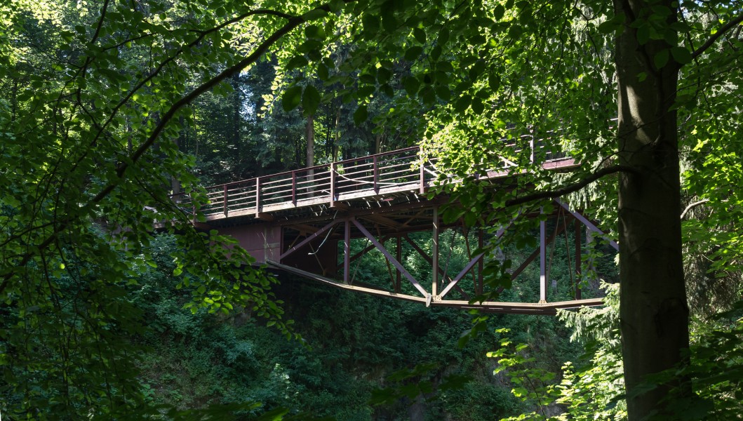 2016 Srebrna Góra, most wiszący 2
