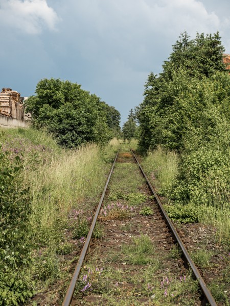Bahnübergang-Sambach-P6055927