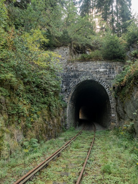 Eisenbahnlinie-Saalestauseen-8132389